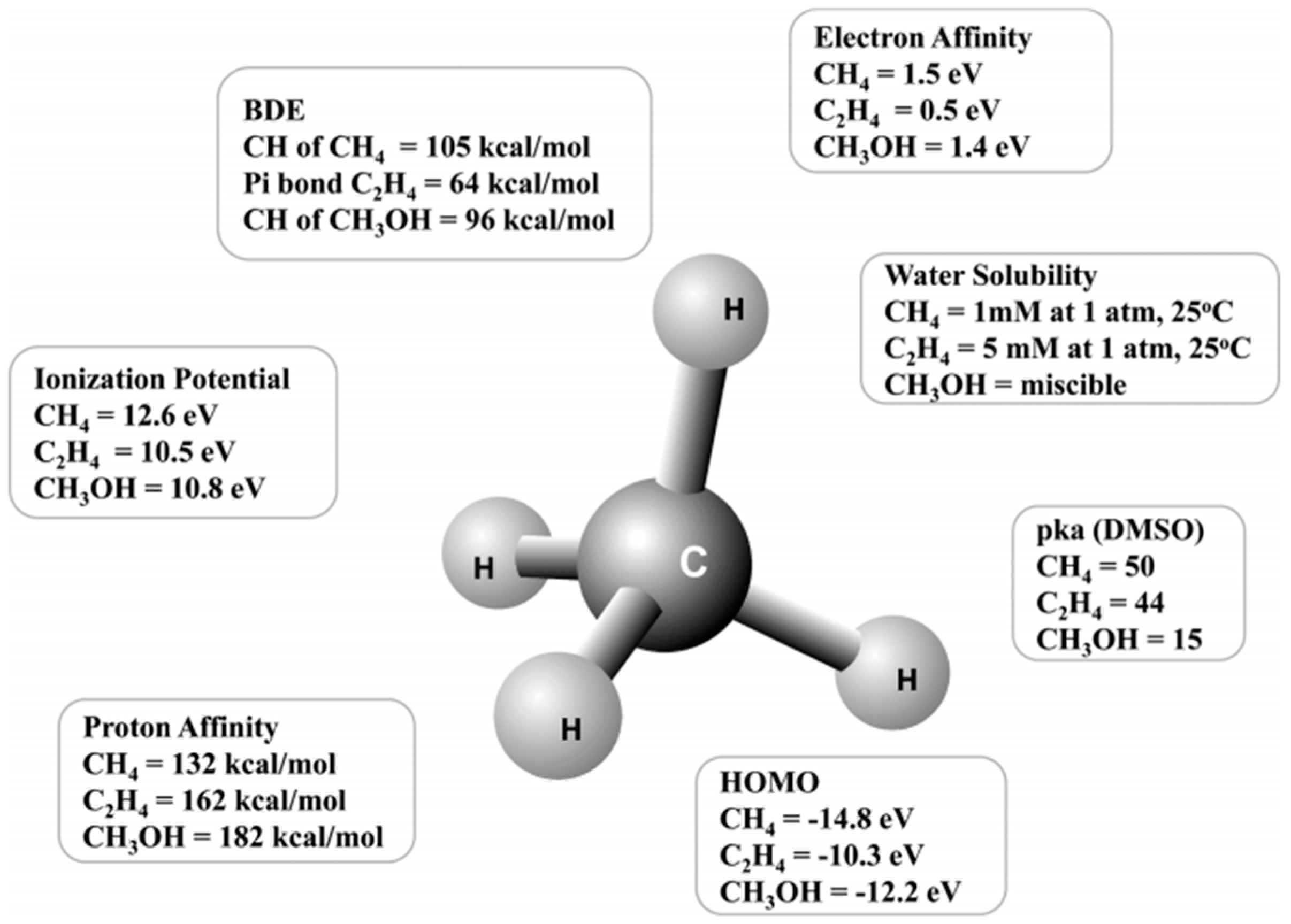Catalysts 14 00167 g001