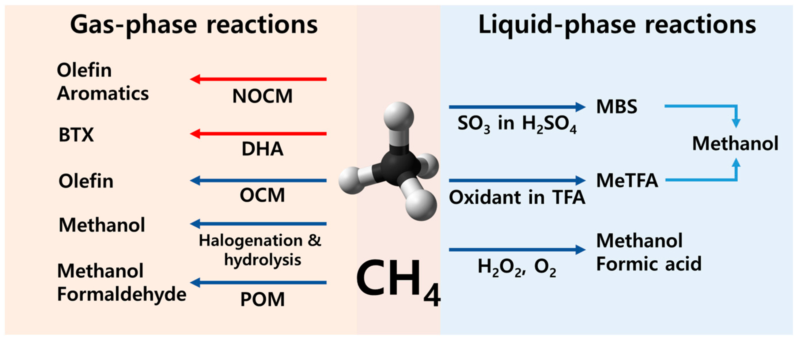 Catalysts 14 00167 g002