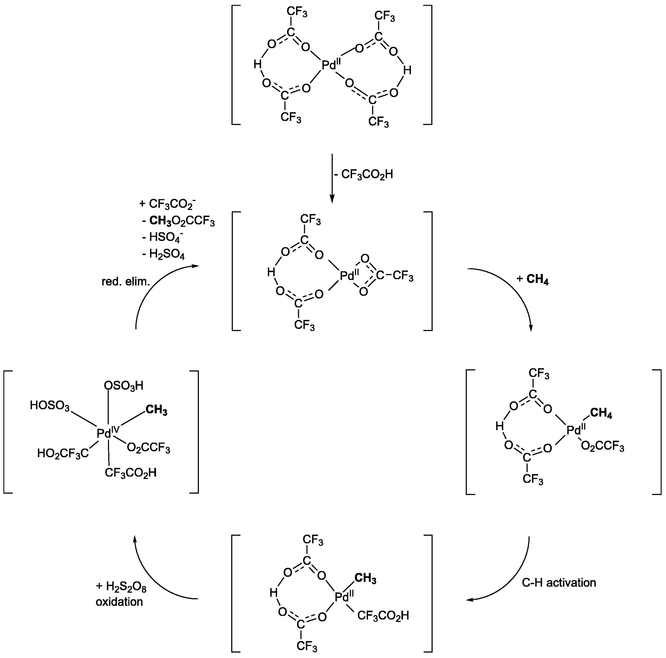 Catalysts 14 00167 g004