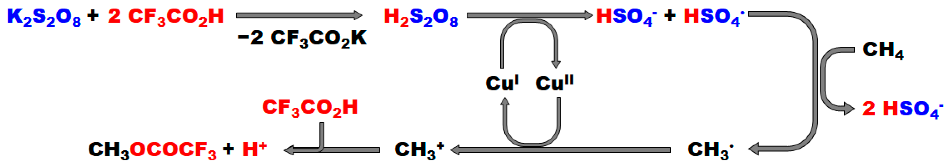 Catalysts 14 00167 g005