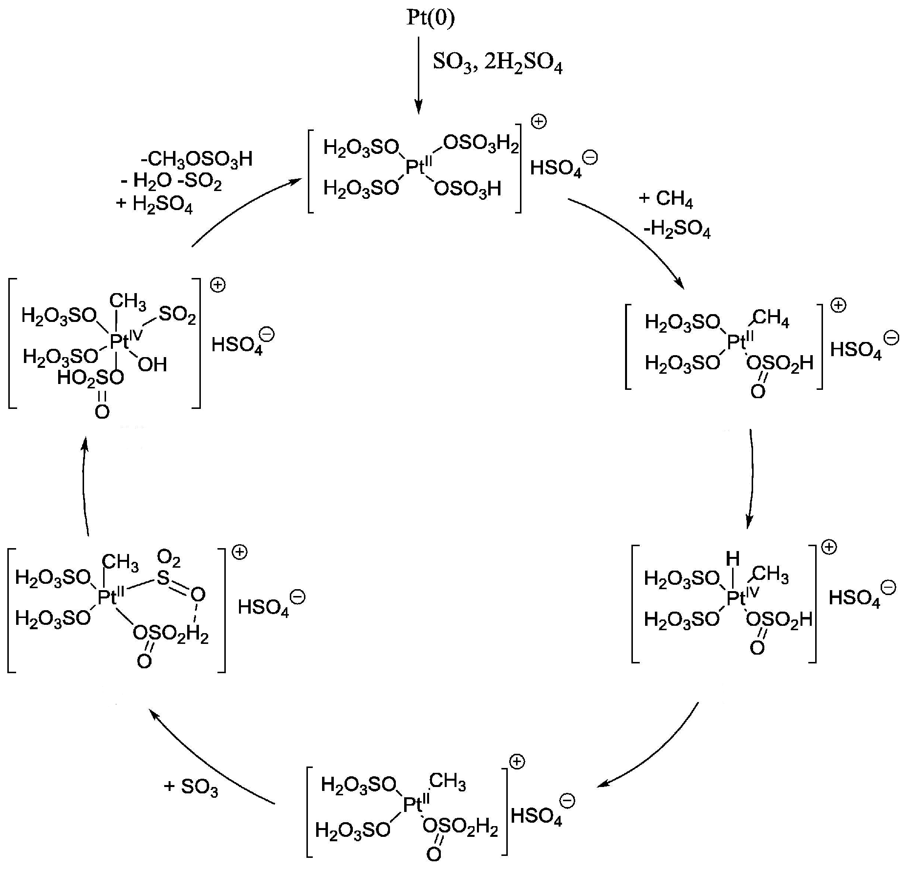 Catalysts 14 00167 g007