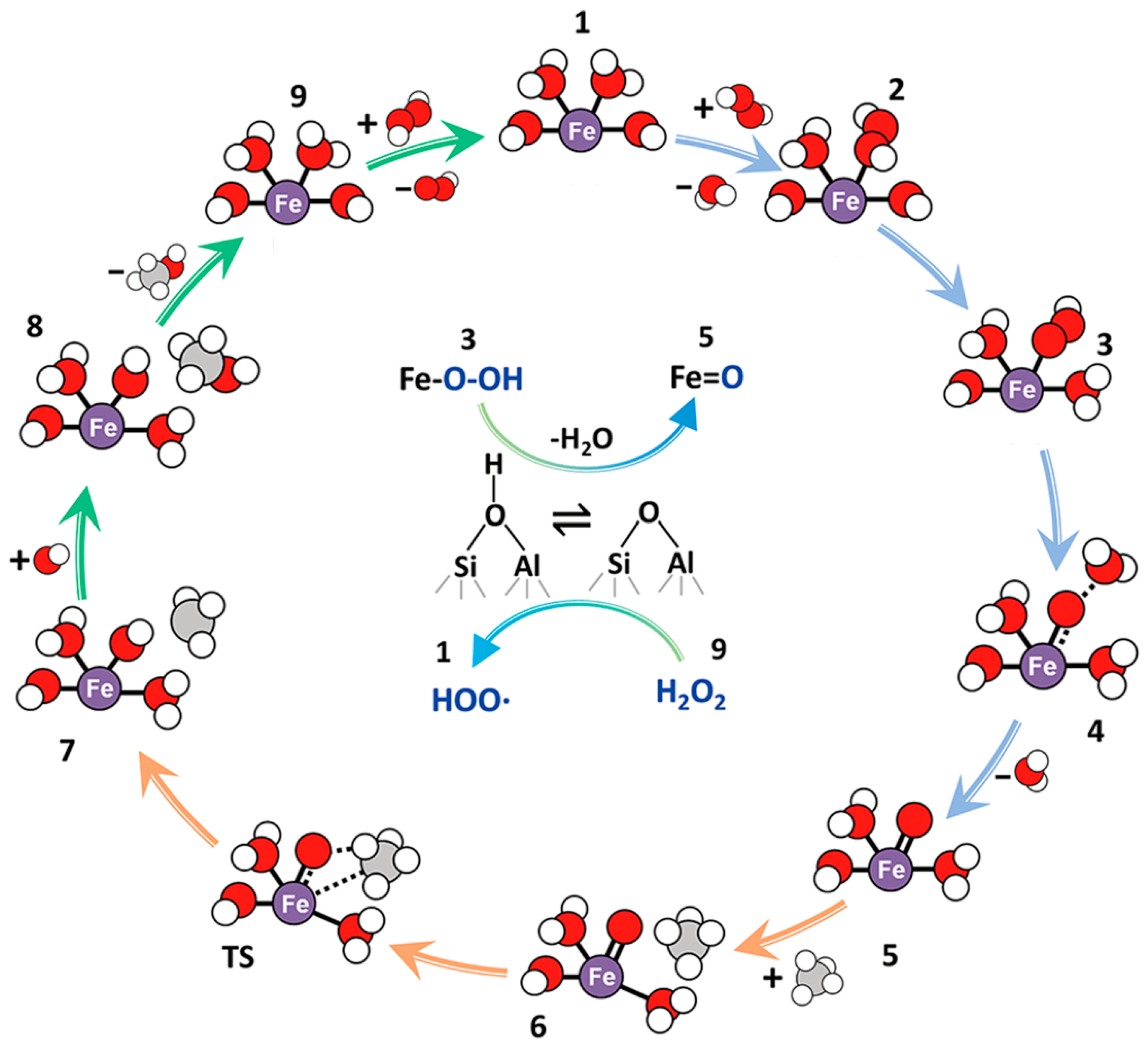 Catalysts 14 00167 g010