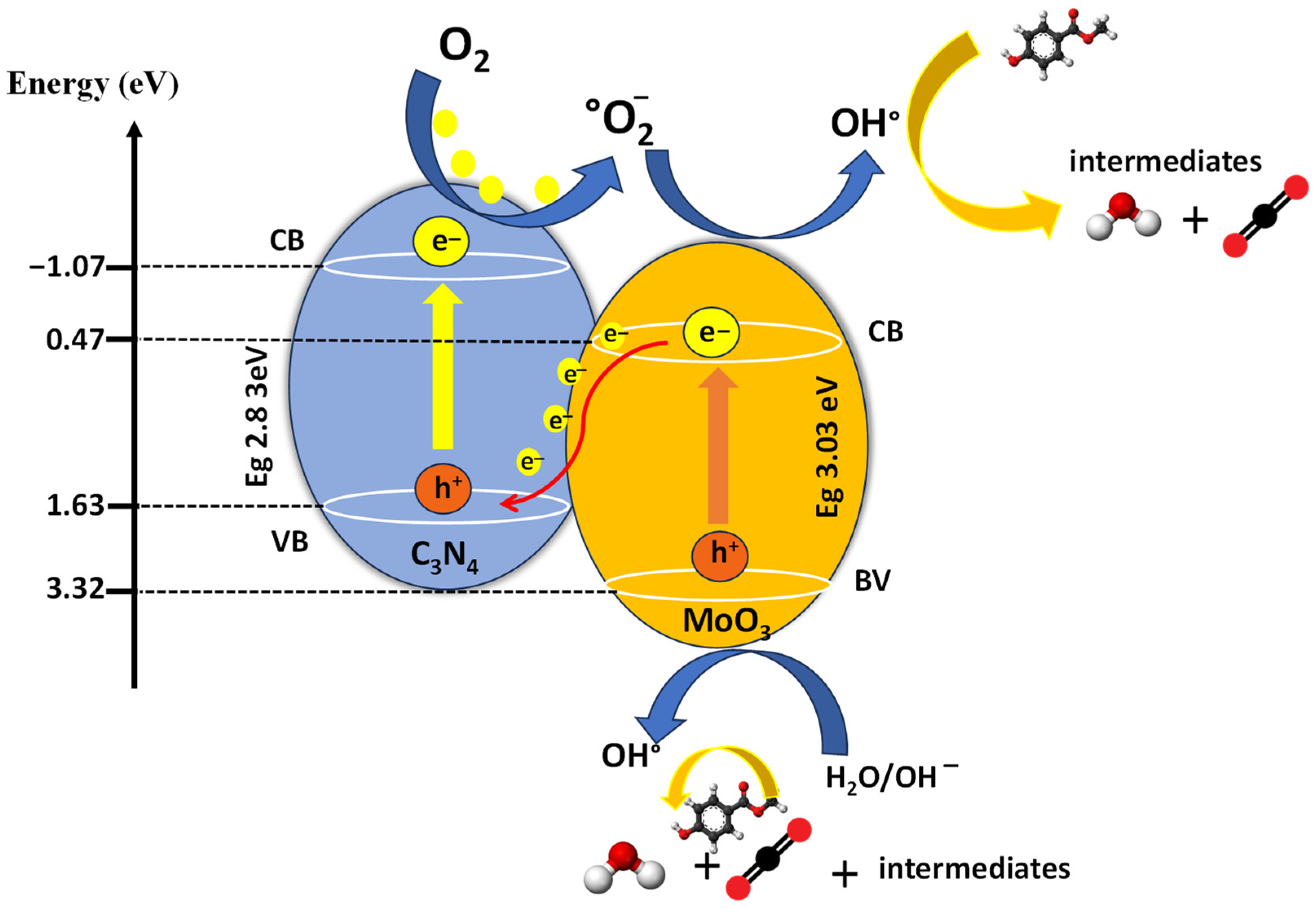 Catalysts 14 00170 g008
