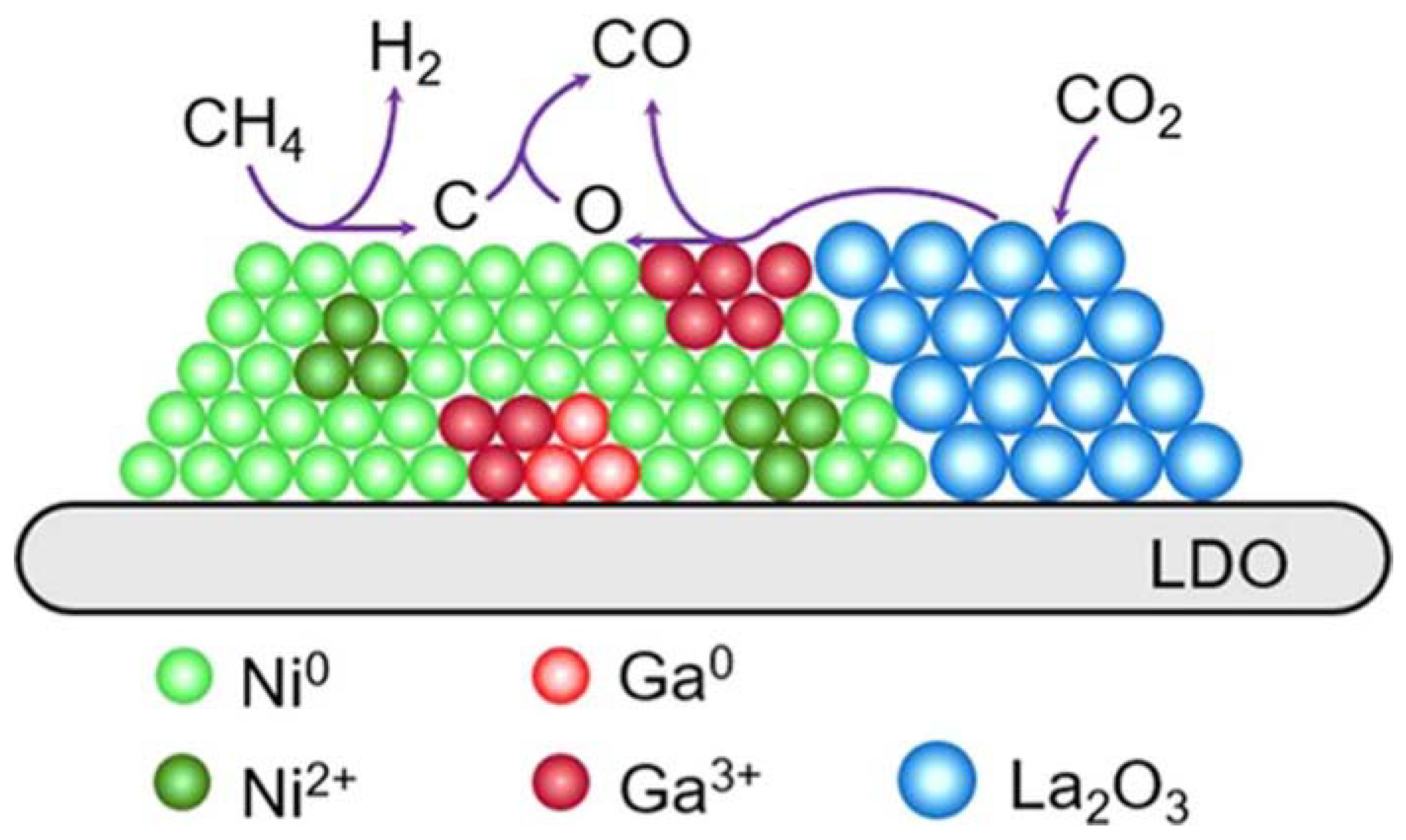 Catalysts 14 00176 g005