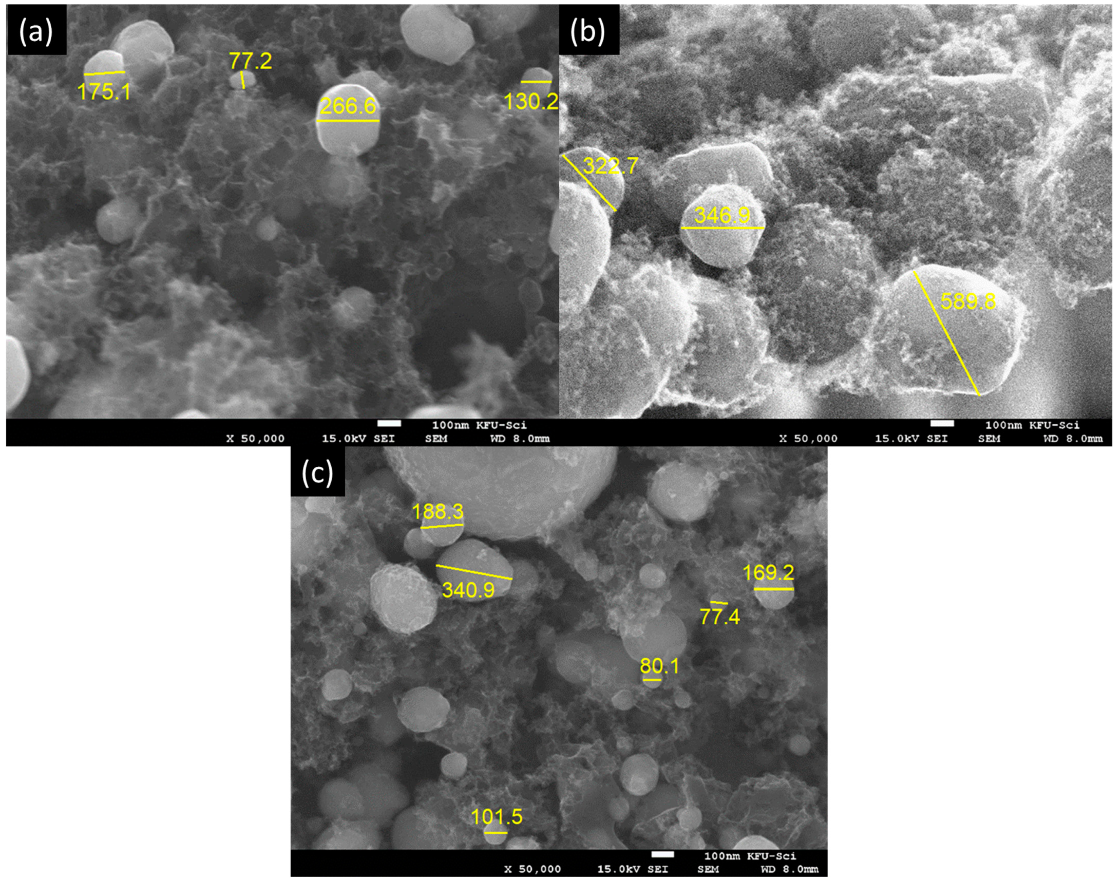 Catalysts 14 00181 g001