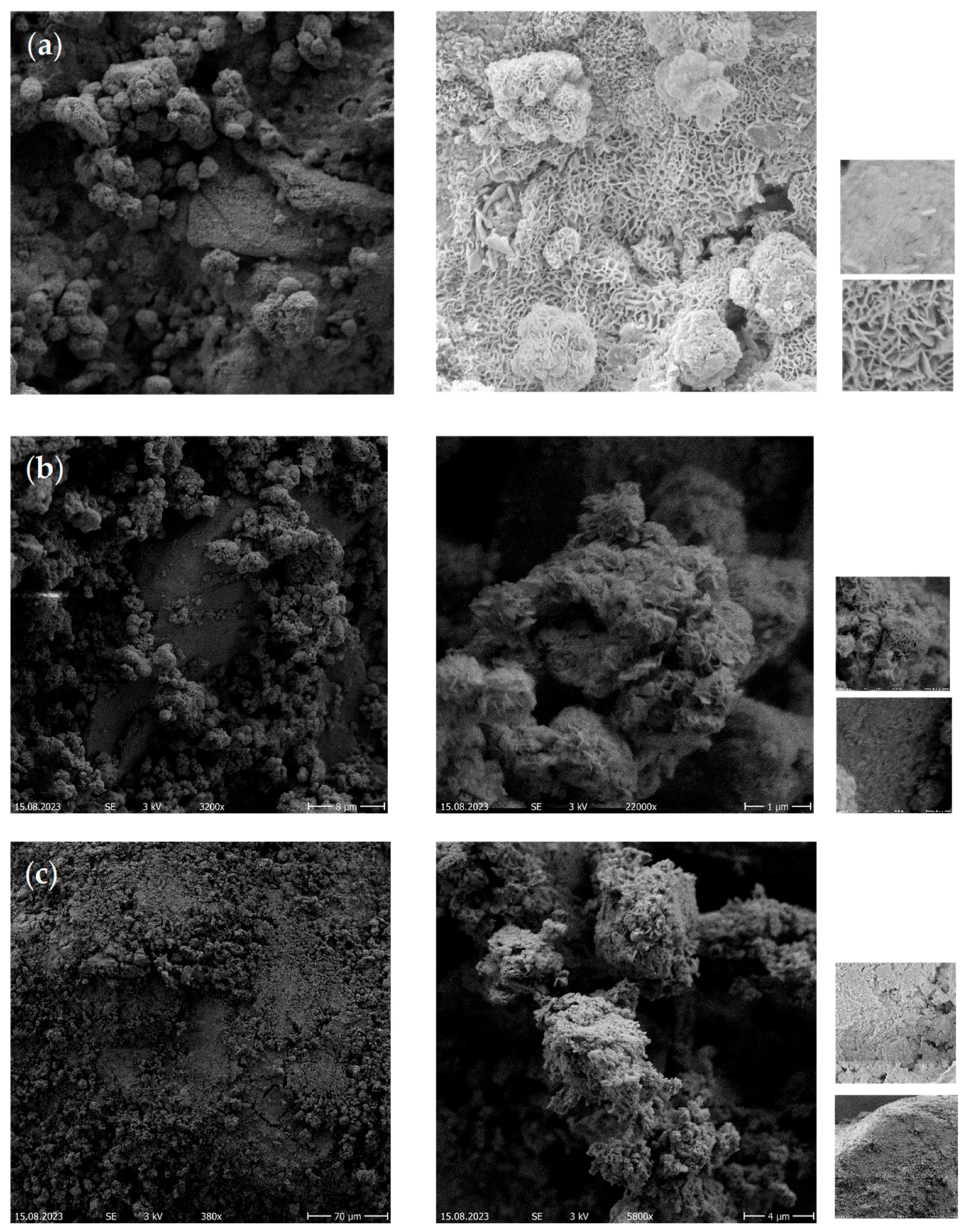 Catalysts 14 00206 g008 Catalysts 14 00206 g008
