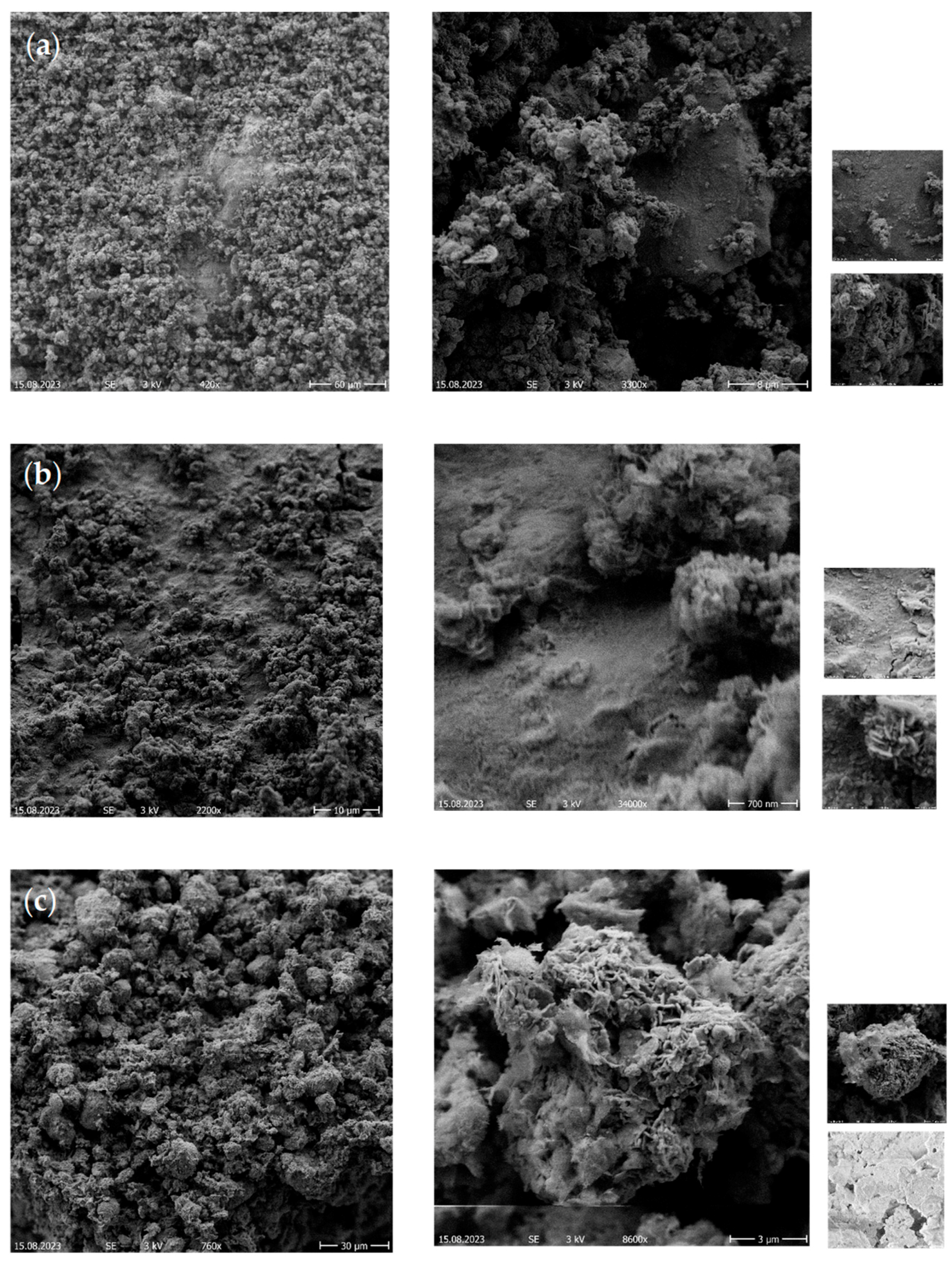 Catalysts 14 00206 g009 Catalysts 14 00206 g009
