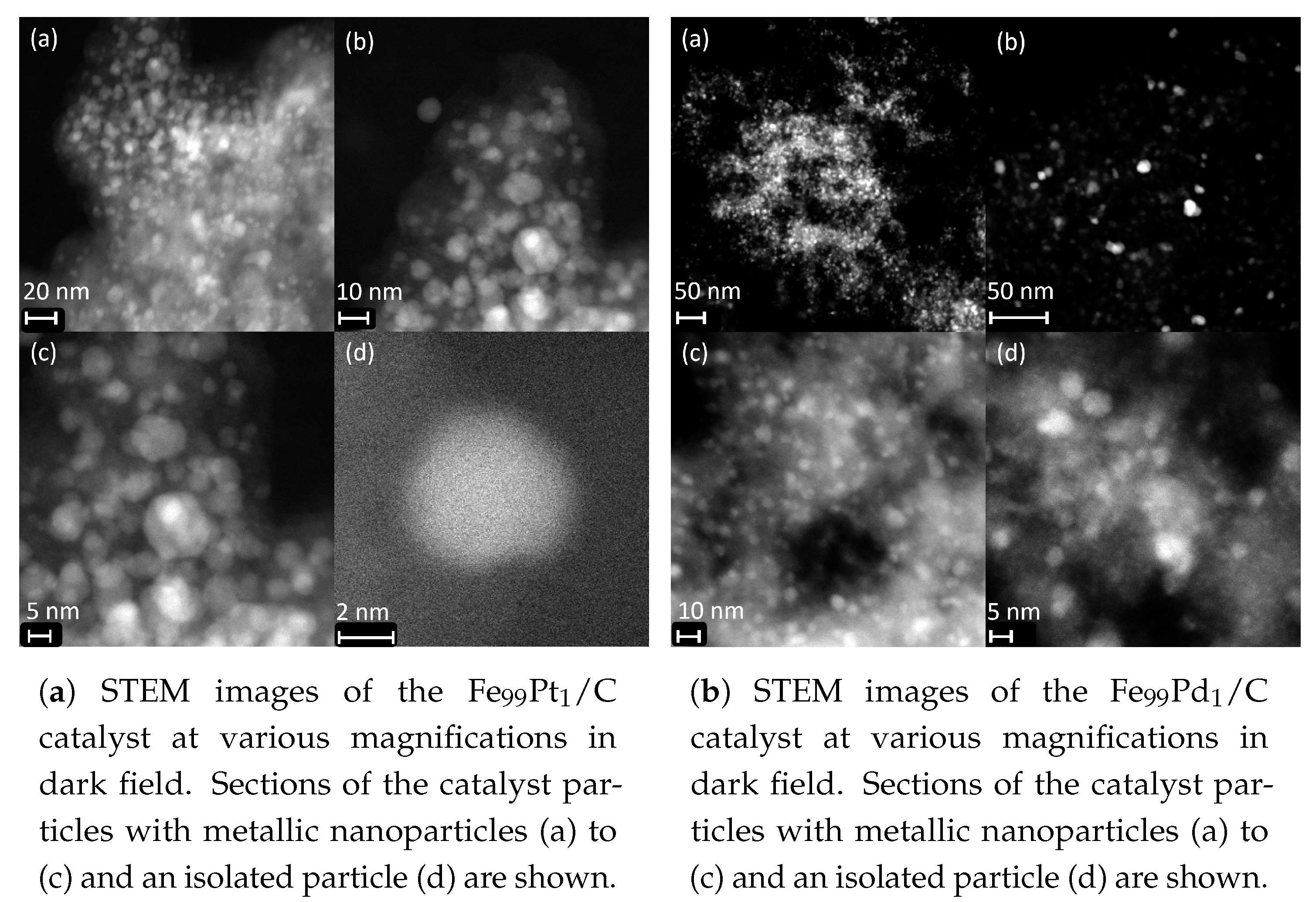 Catalysts 14 00215 g009 Catalysts 14 00215 g009