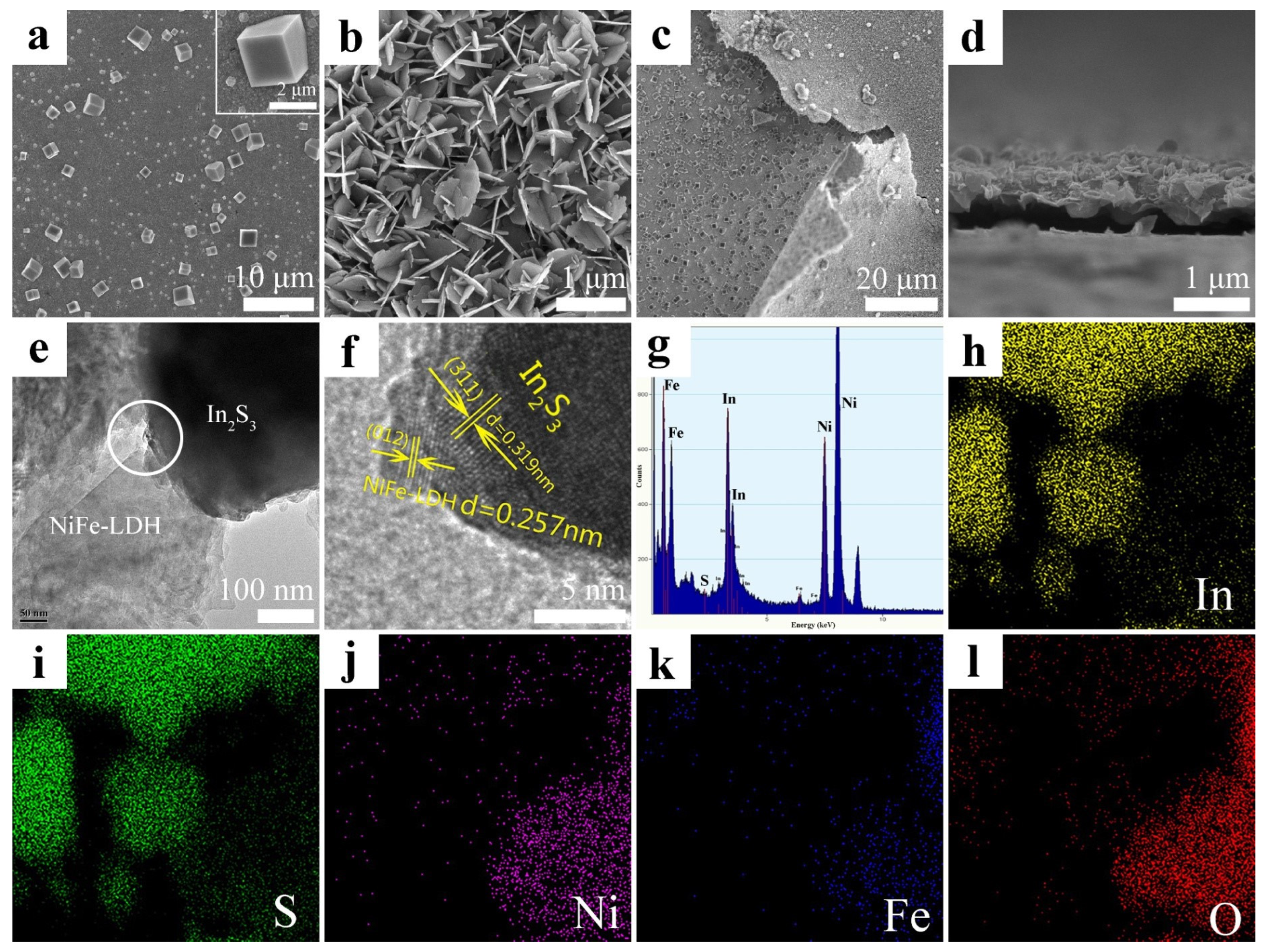 Catalysts 14 00230 g002