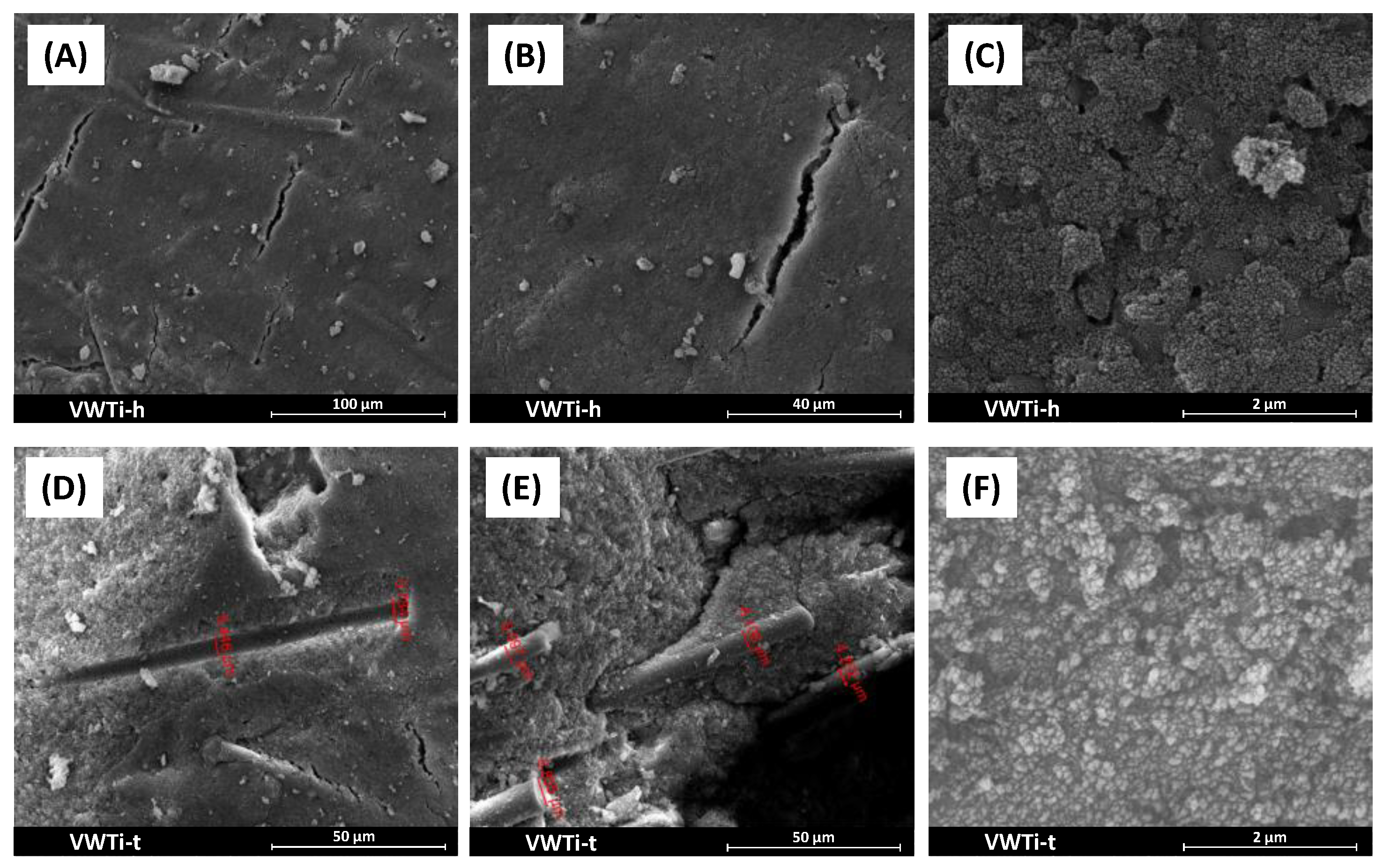 Catalysts 14 00241 g014