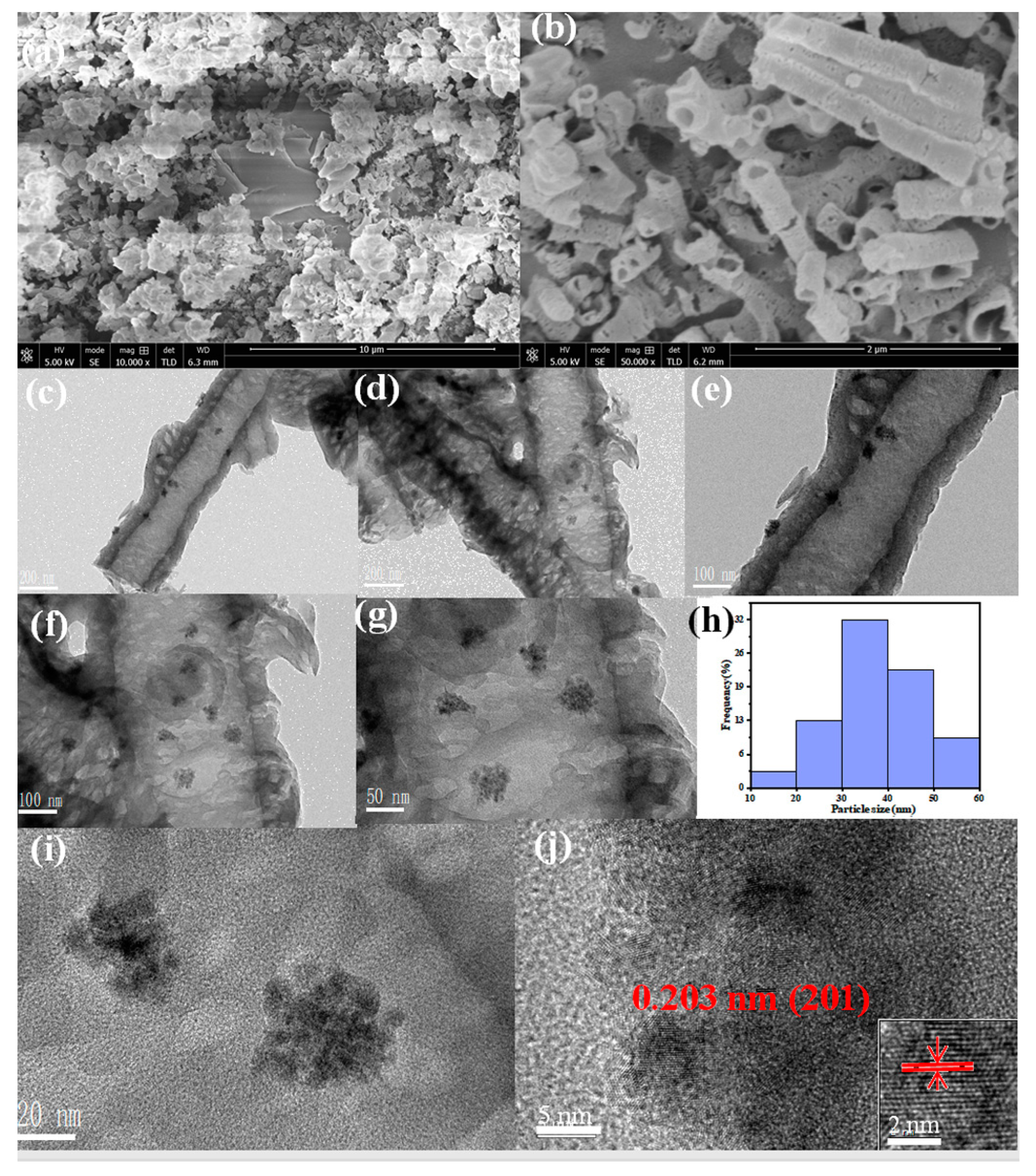Catalysts 14 00243 g003