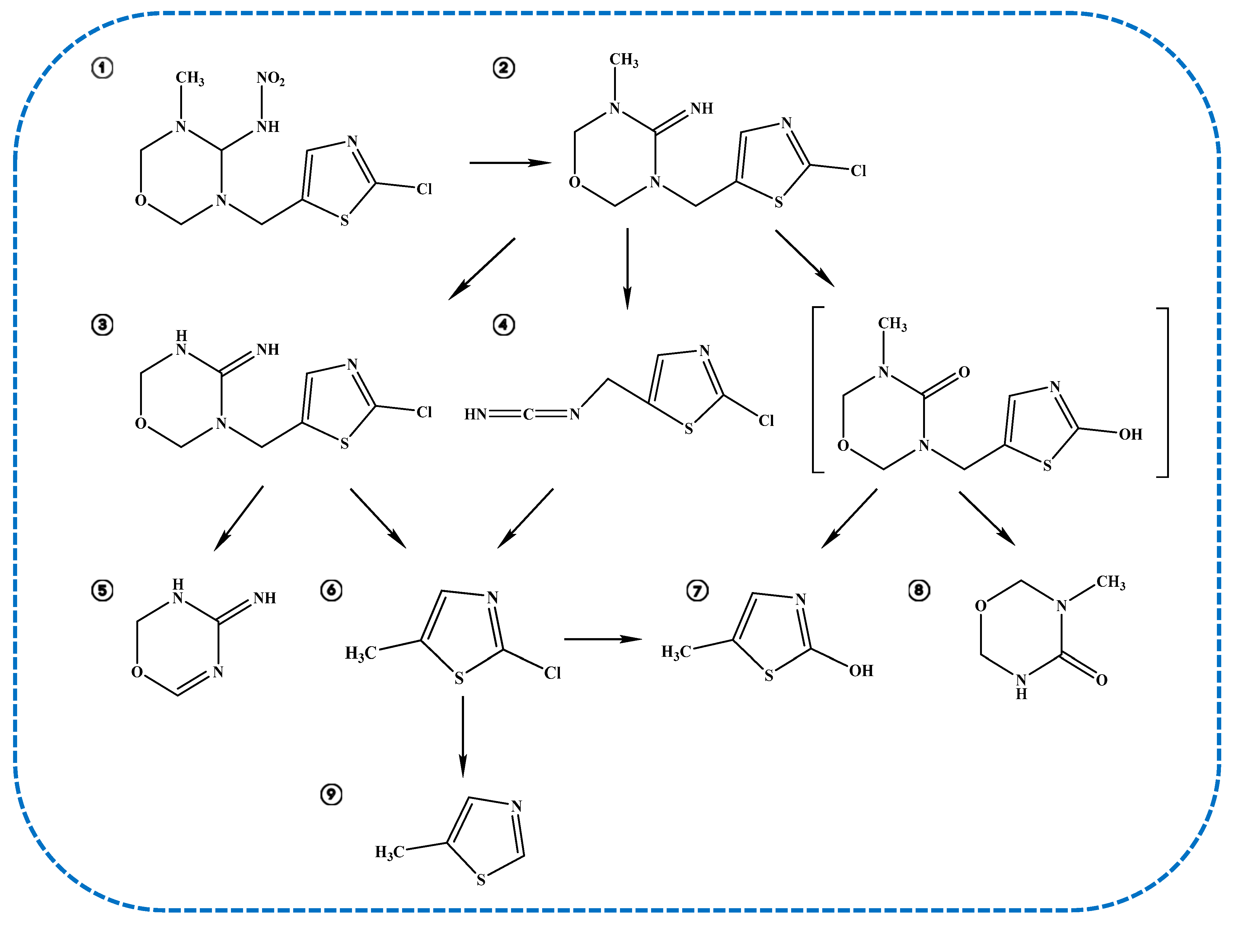 Catalysts 14 00245 g005