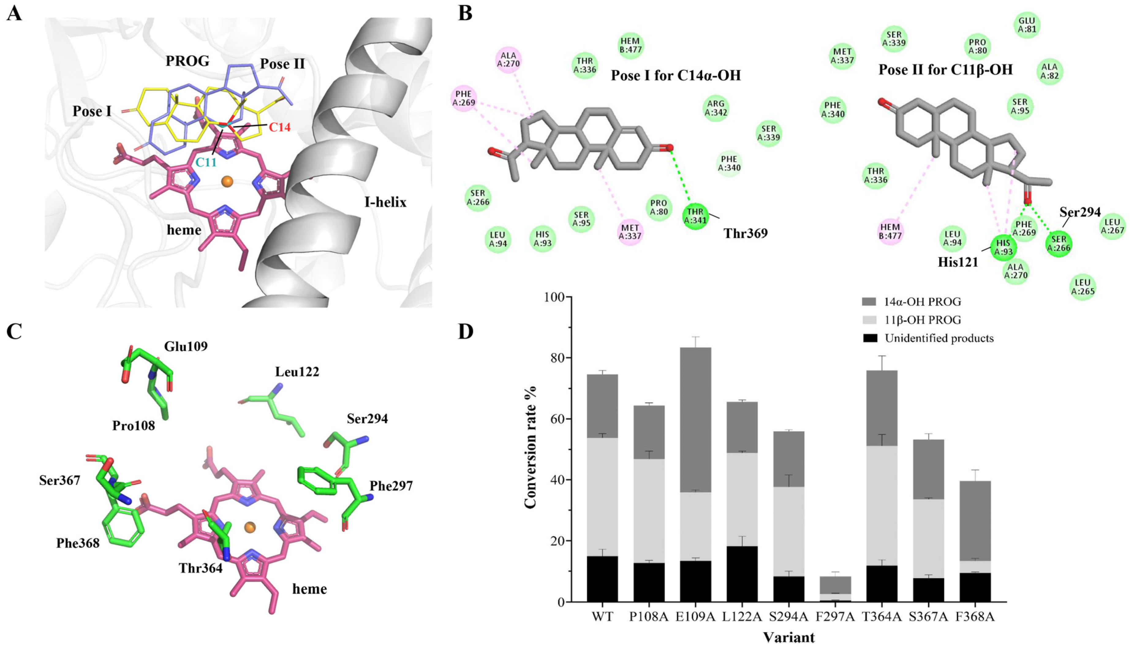 Catalysts 14 00247 g002