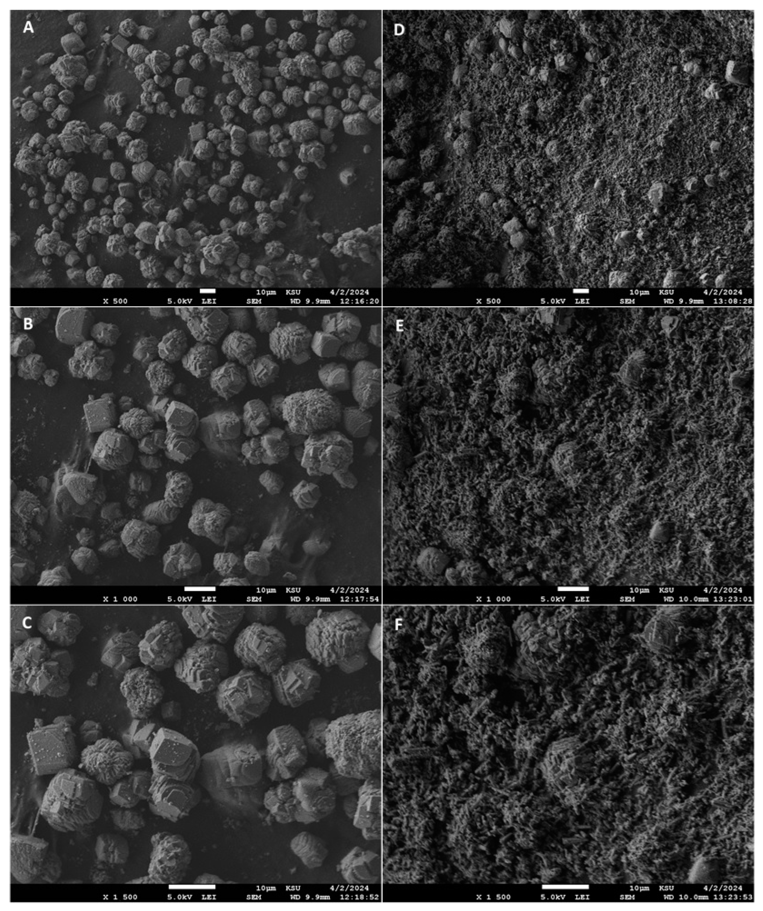 Catalysts 14 00253 g005