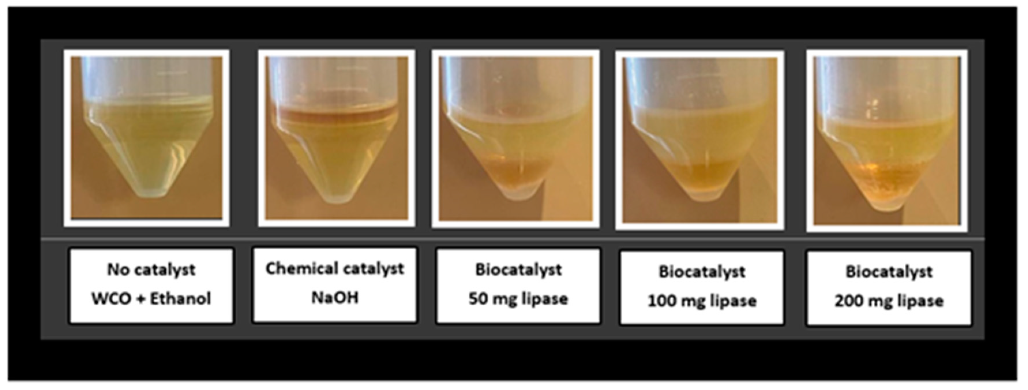 Catalysts 14 00253 g007