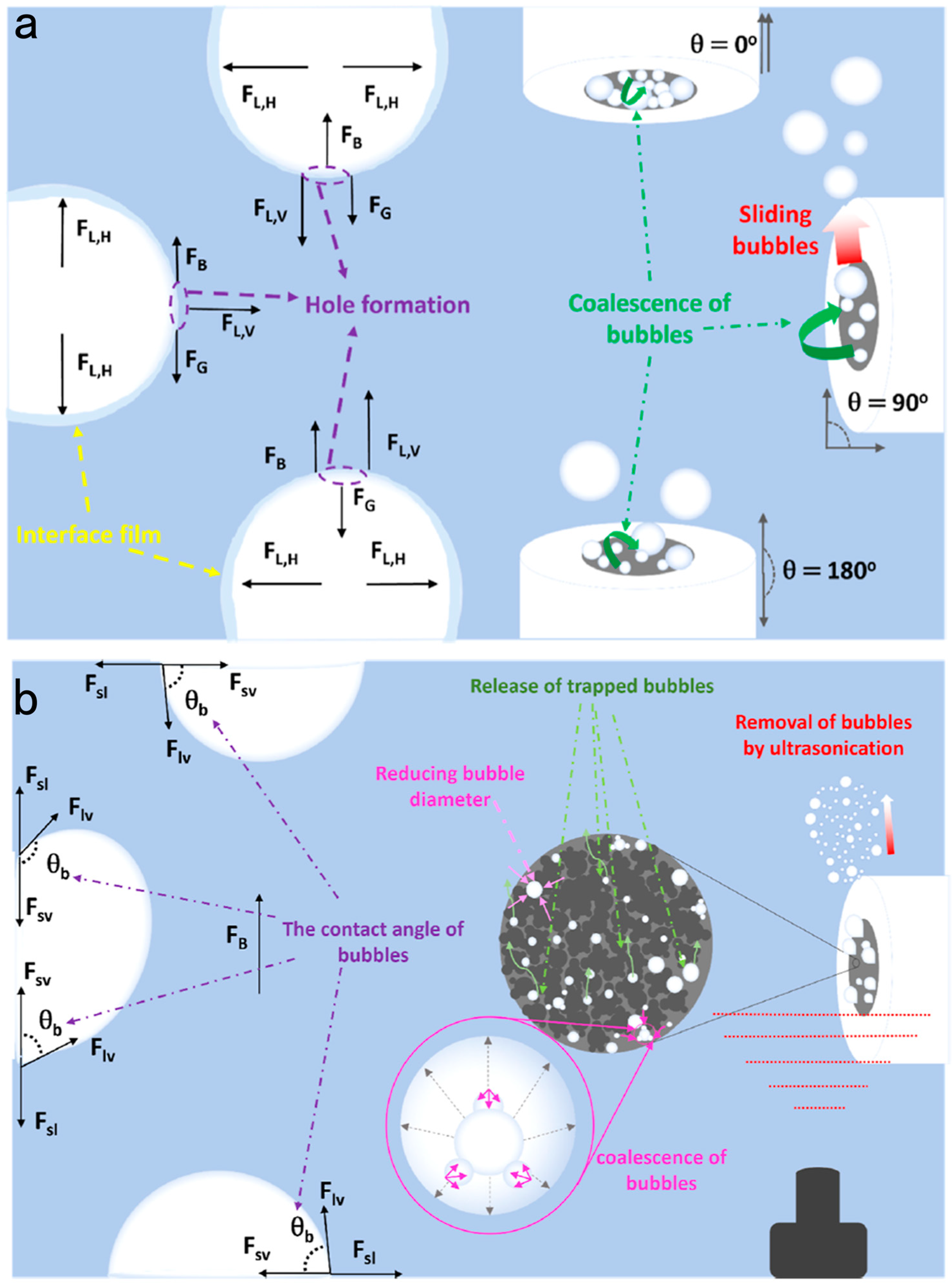 Catalysts 14 00254 g007