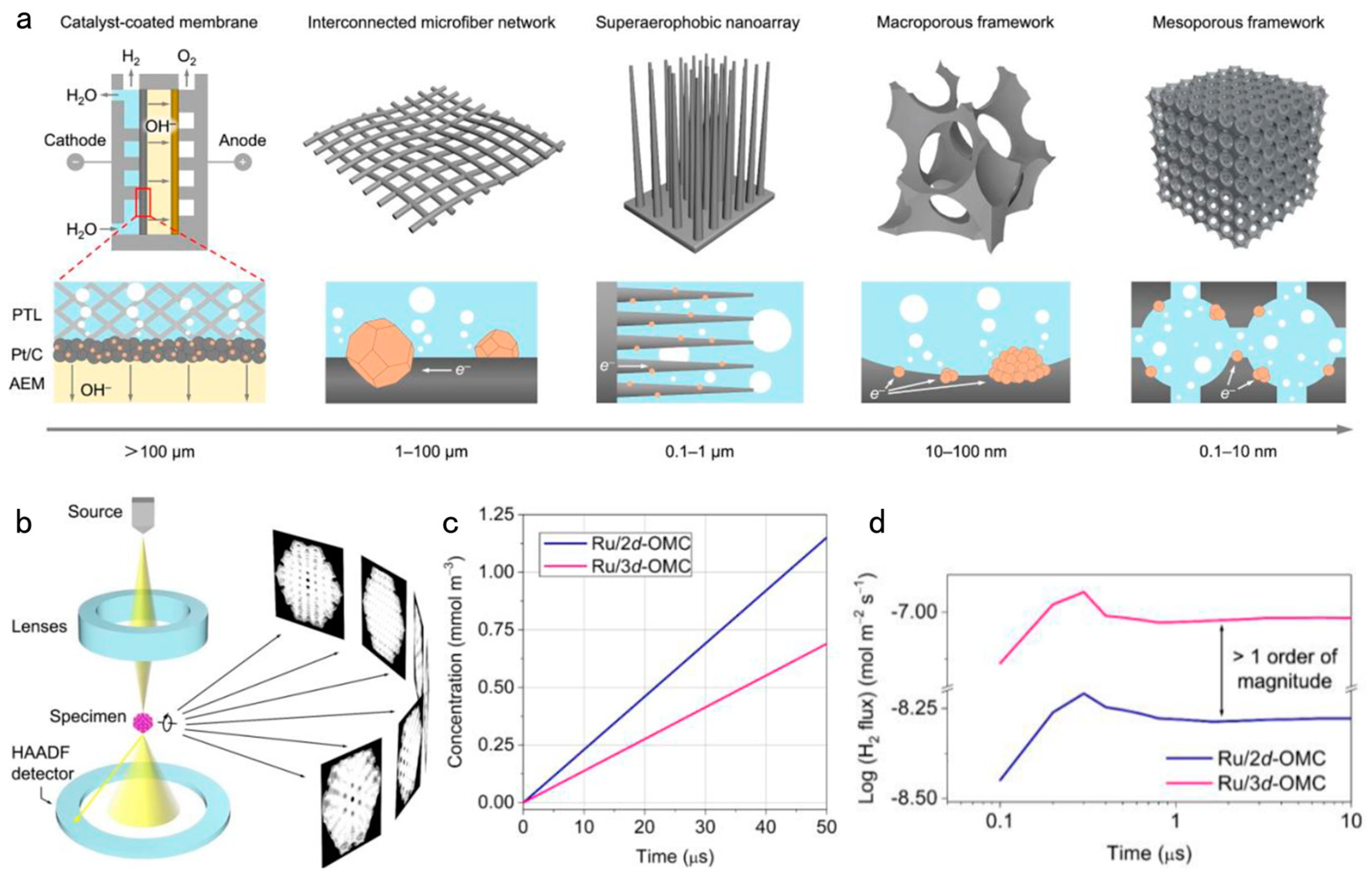 Catalysts 14 00254 g011