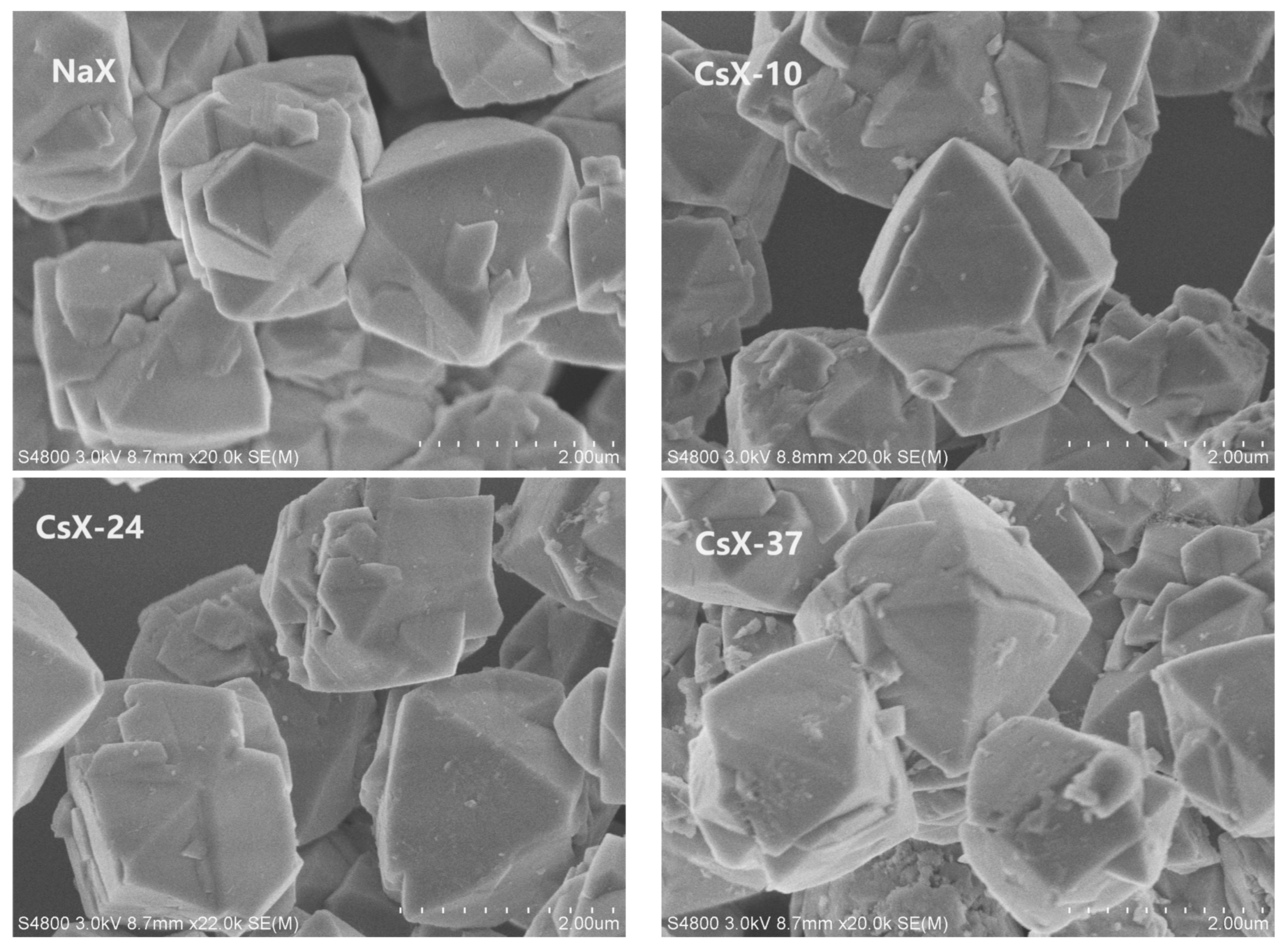 Catalysts 14 00256 g003