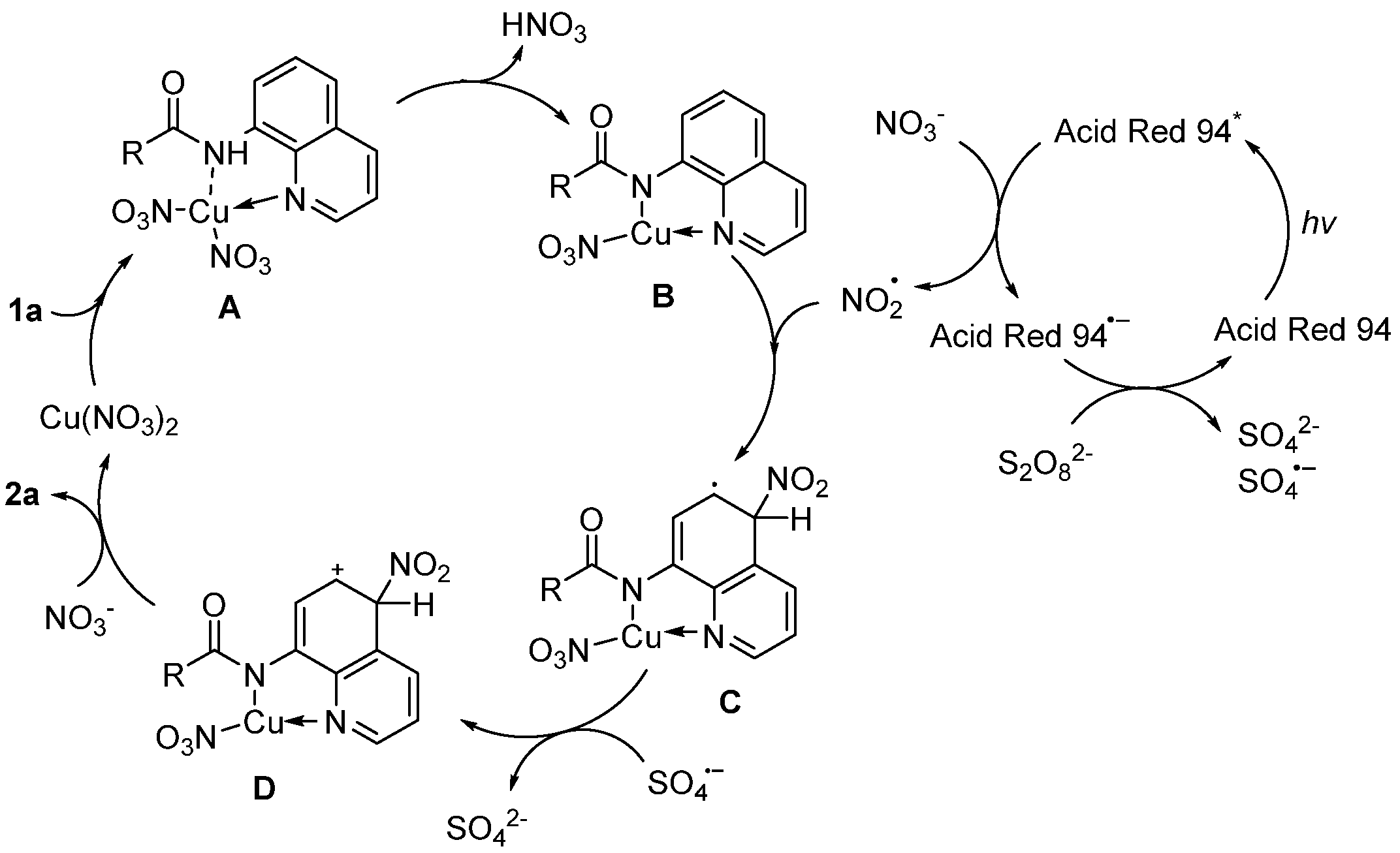 Catalysts 14 00263 sch007