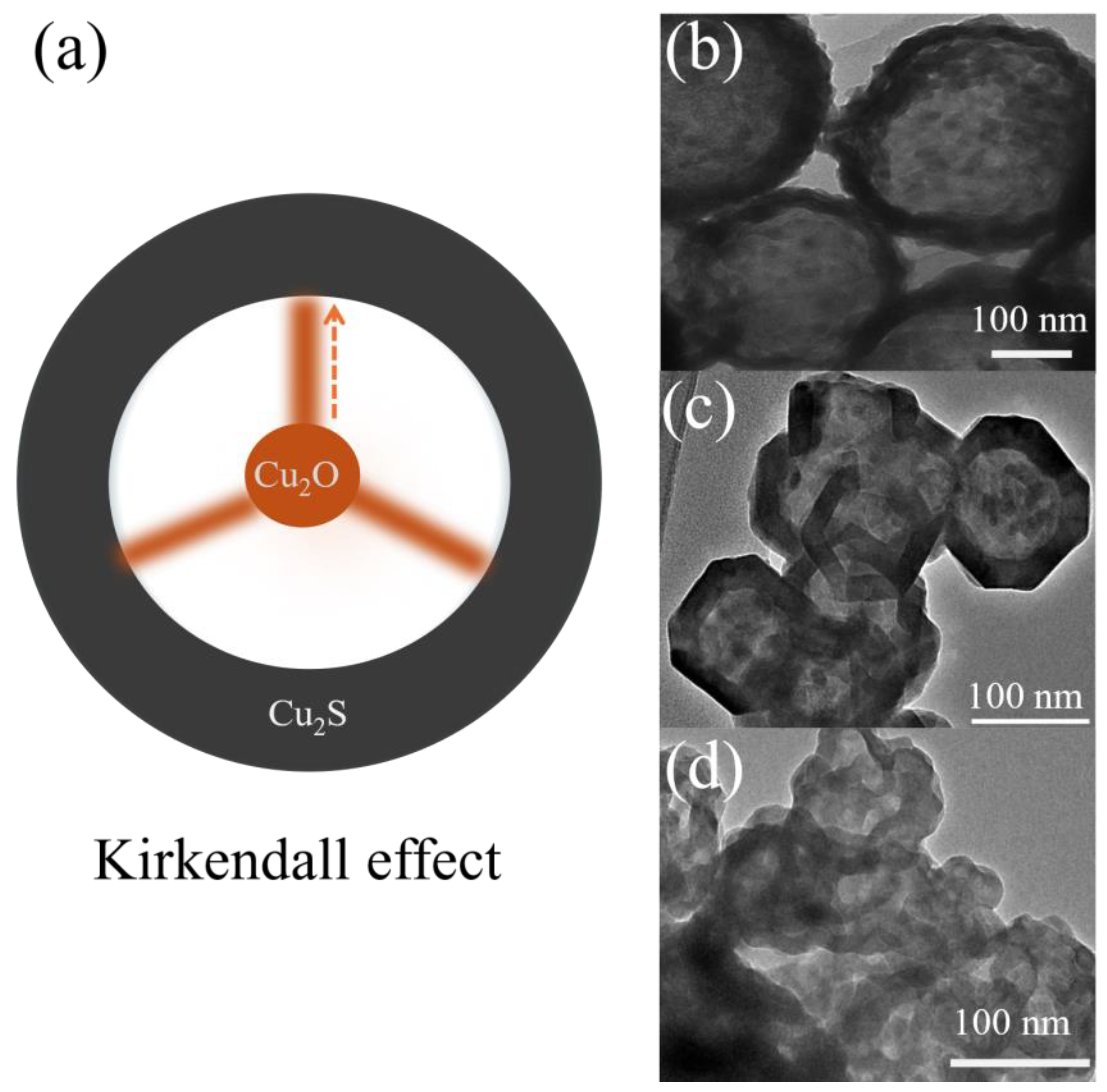Catalysts 14 00264 g006