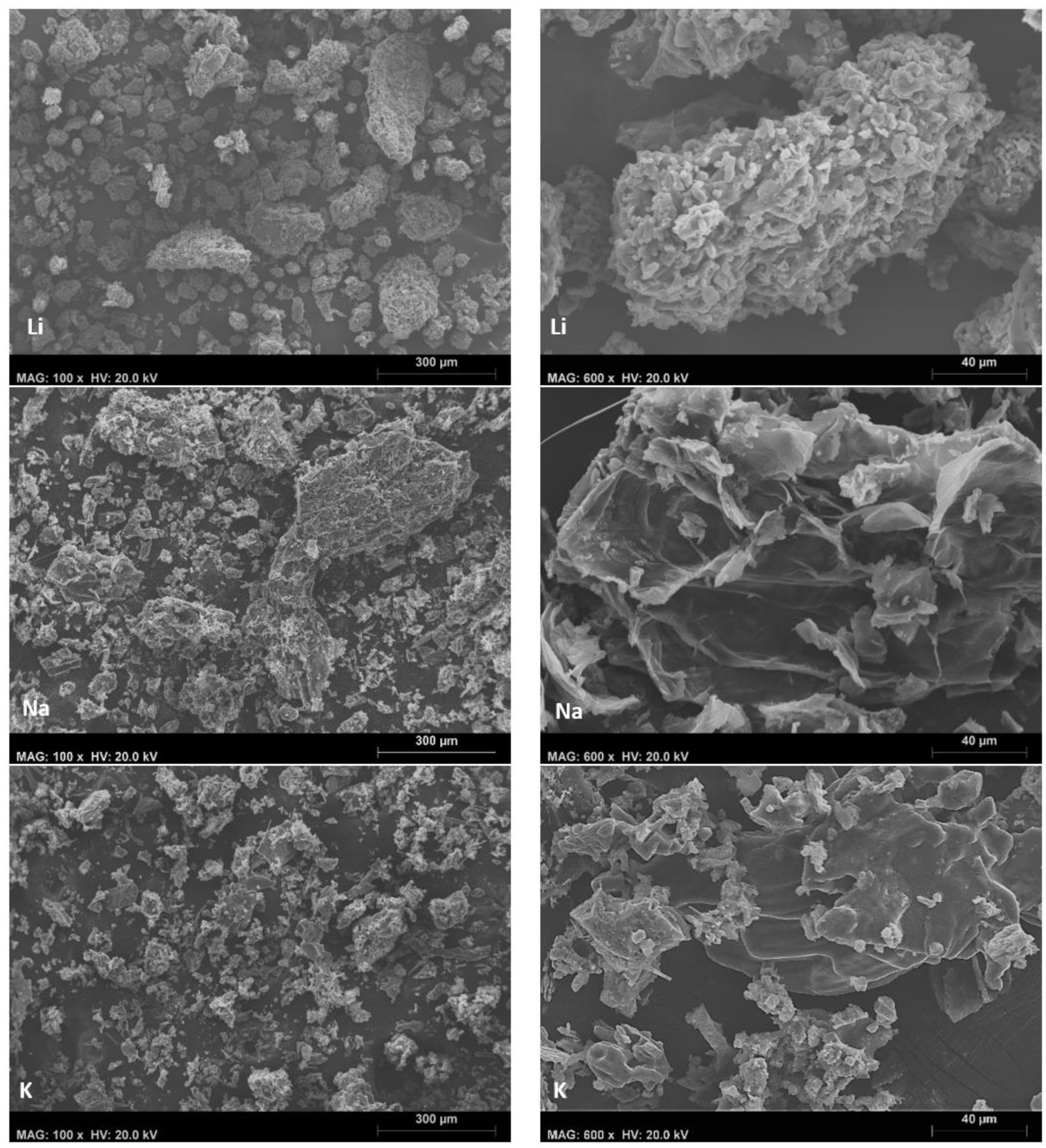 Catalysts 14 00266 g004