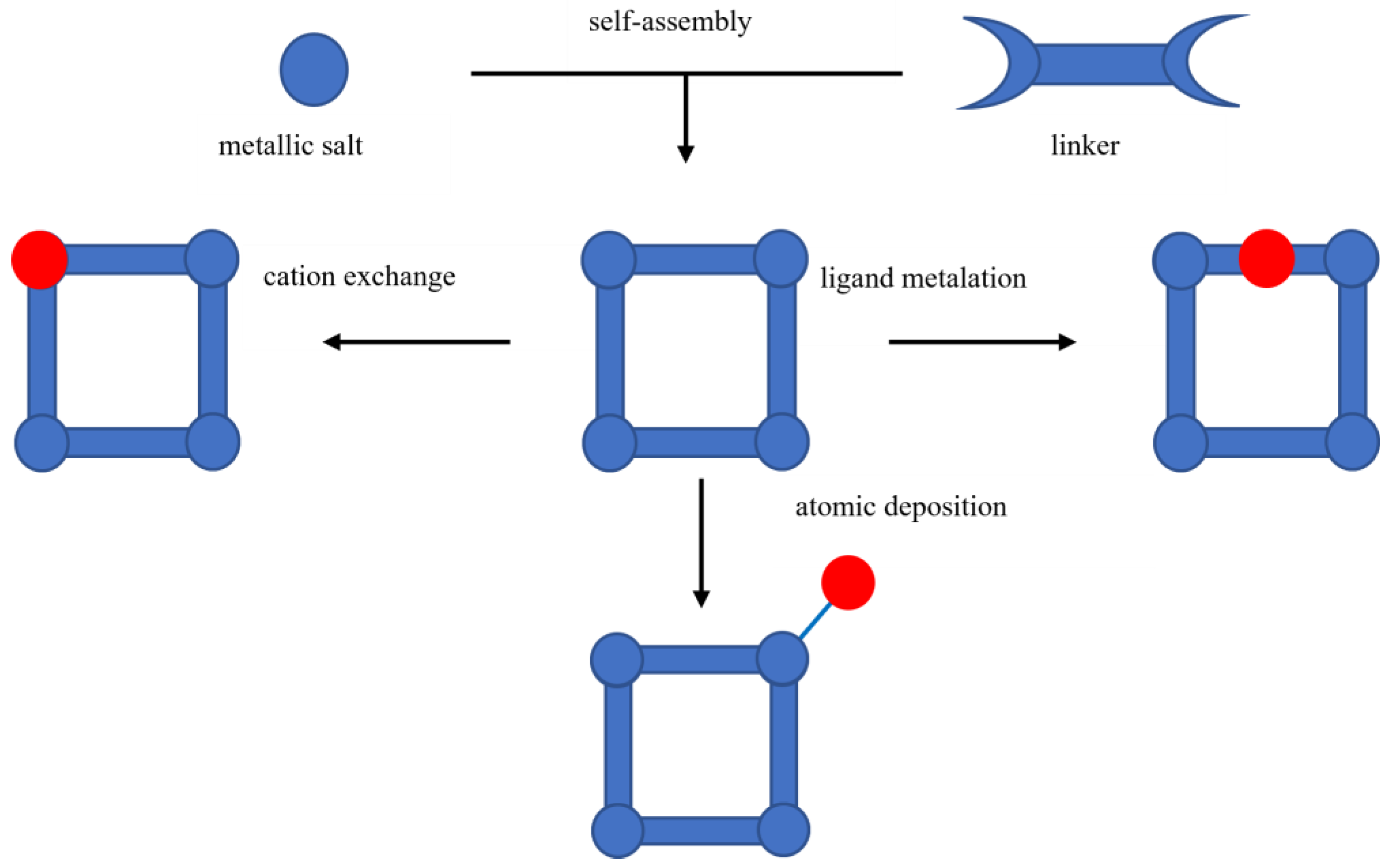 Catalysts 14 00268 g005