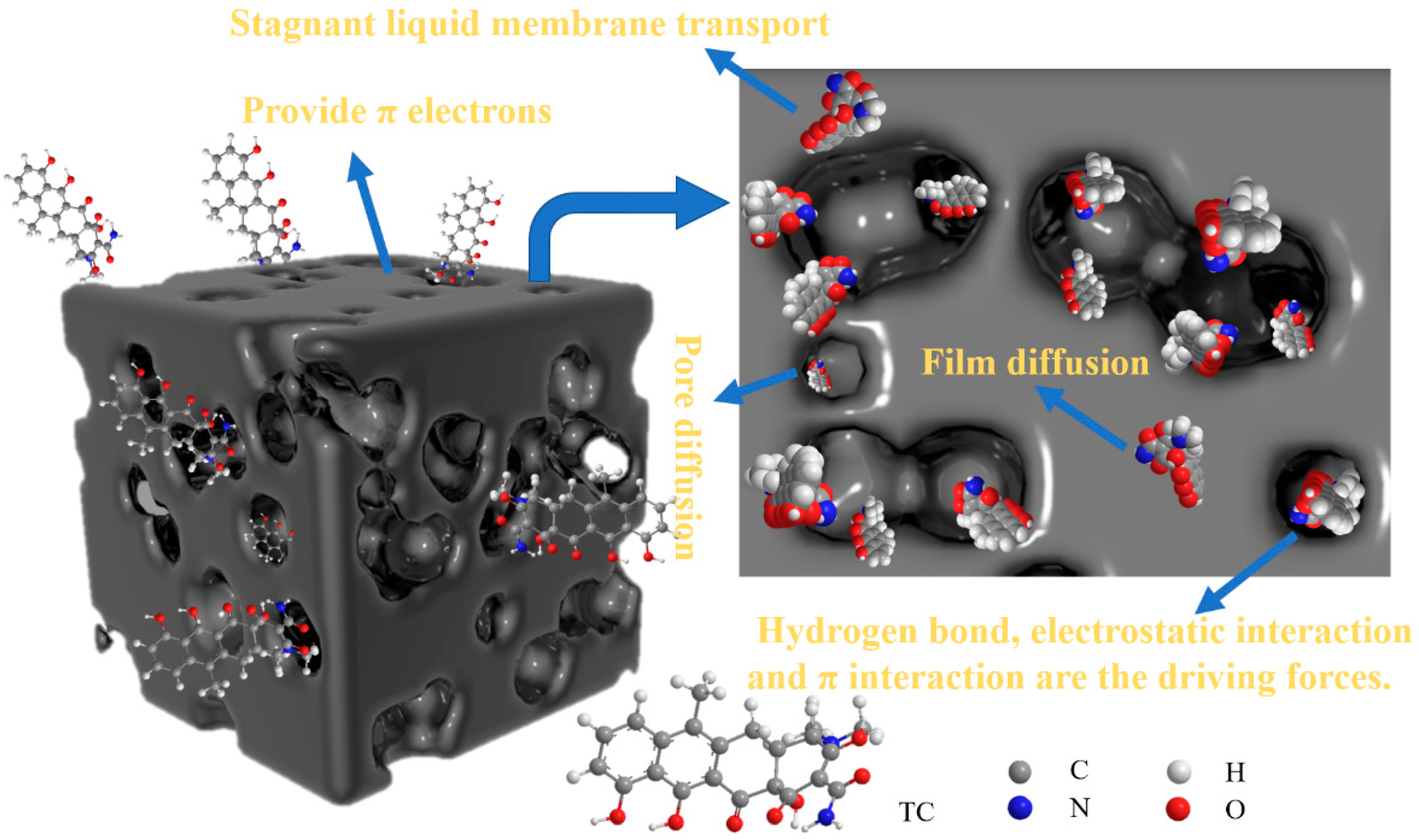 Catalysts 14 00269 g002