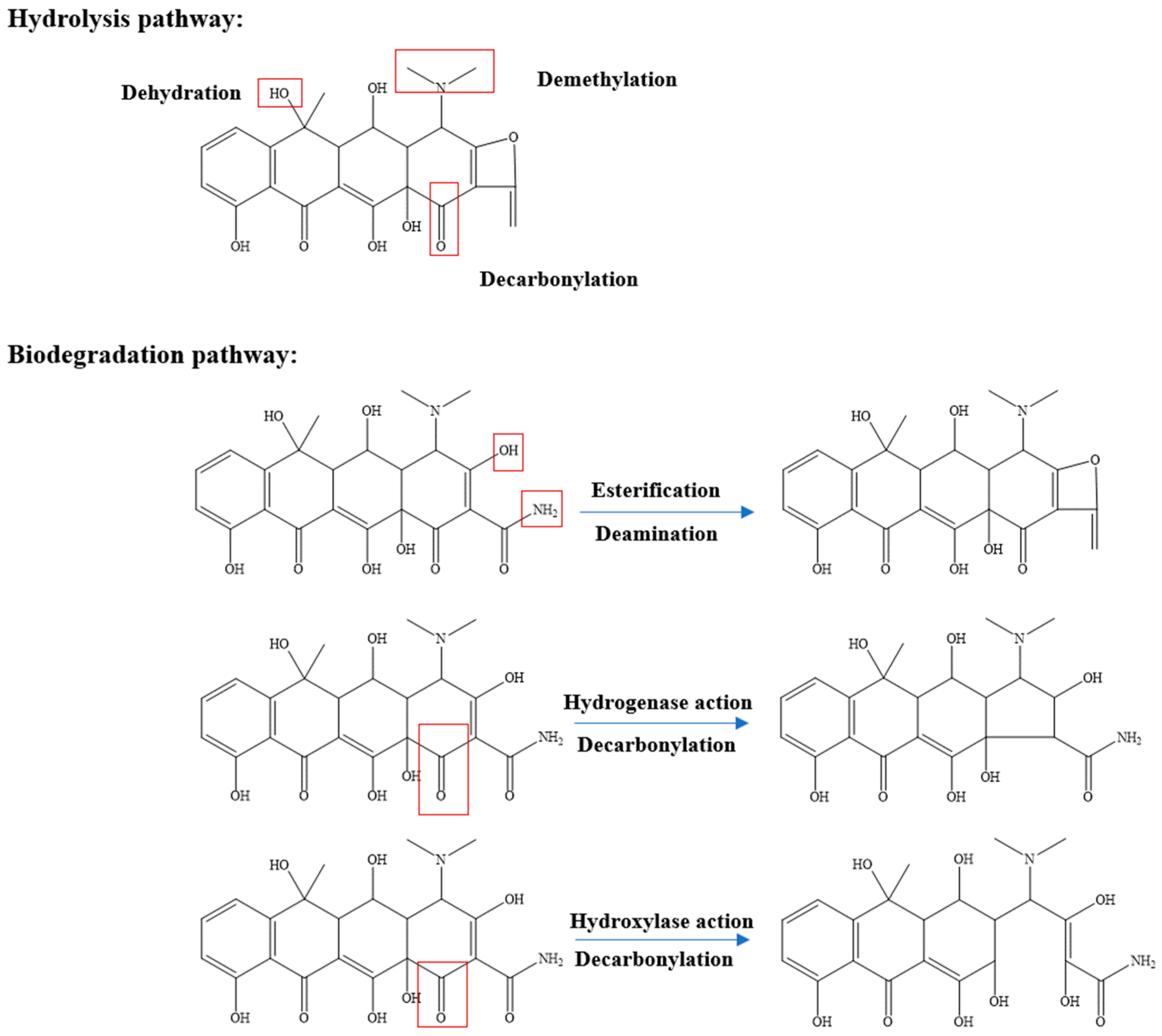Catalysts 14 00269 g003a