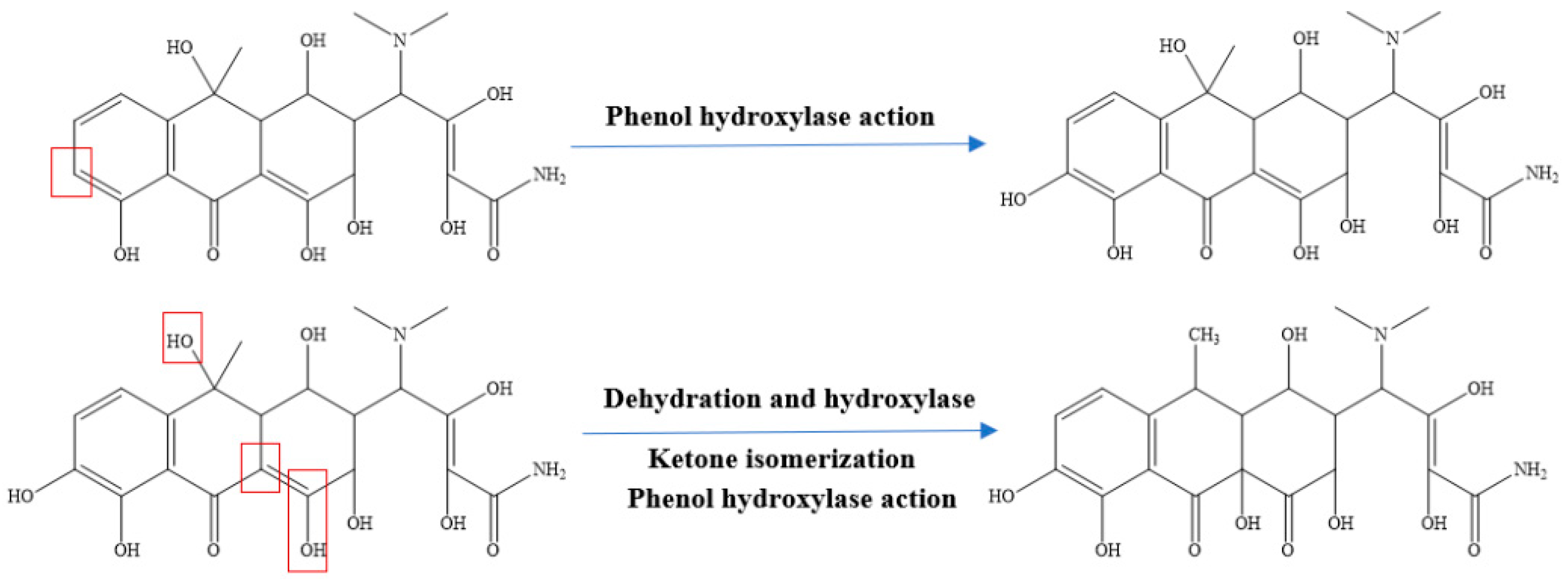 Catalysts 14 00269 g003b