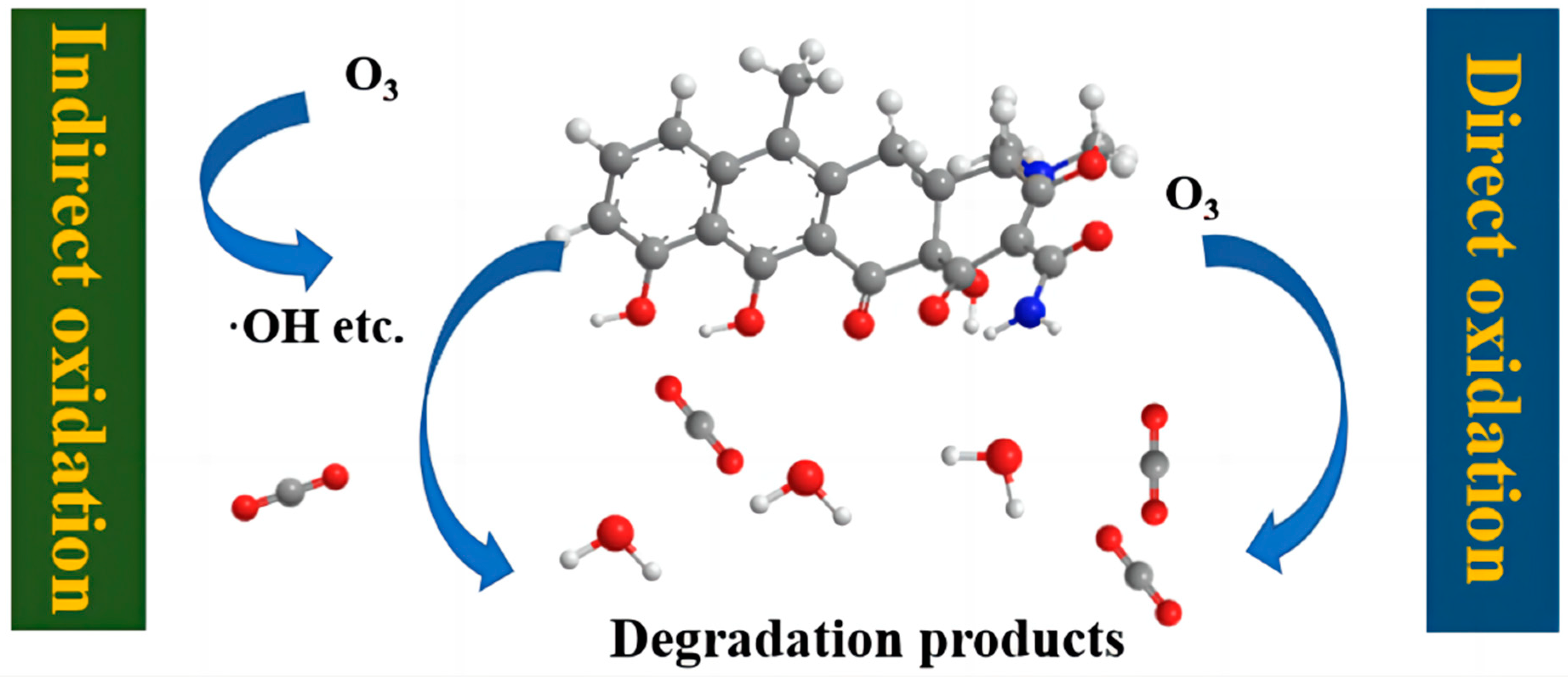 Catalysts 14 00269 g004