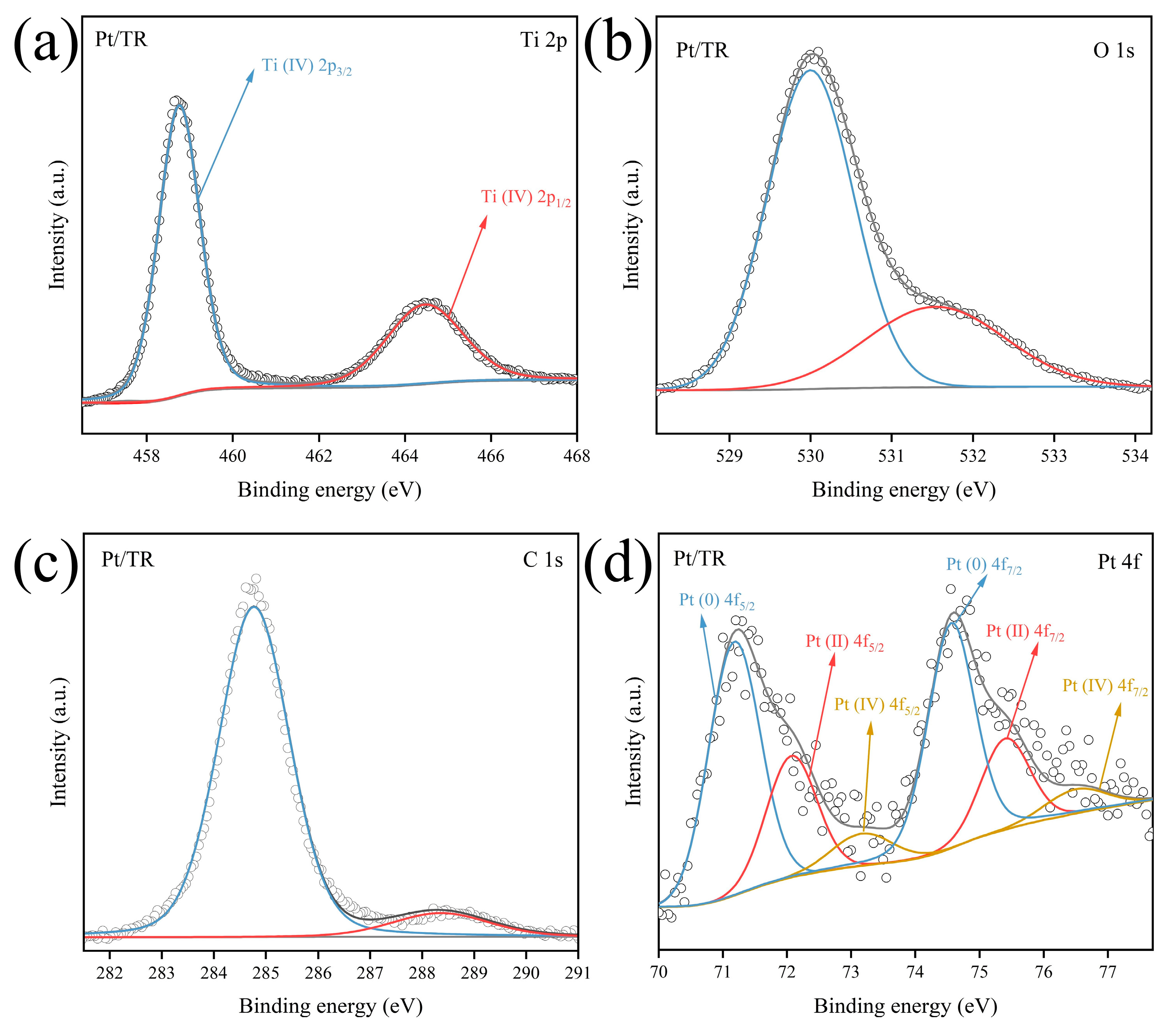 Catalysts 14 00283 g005