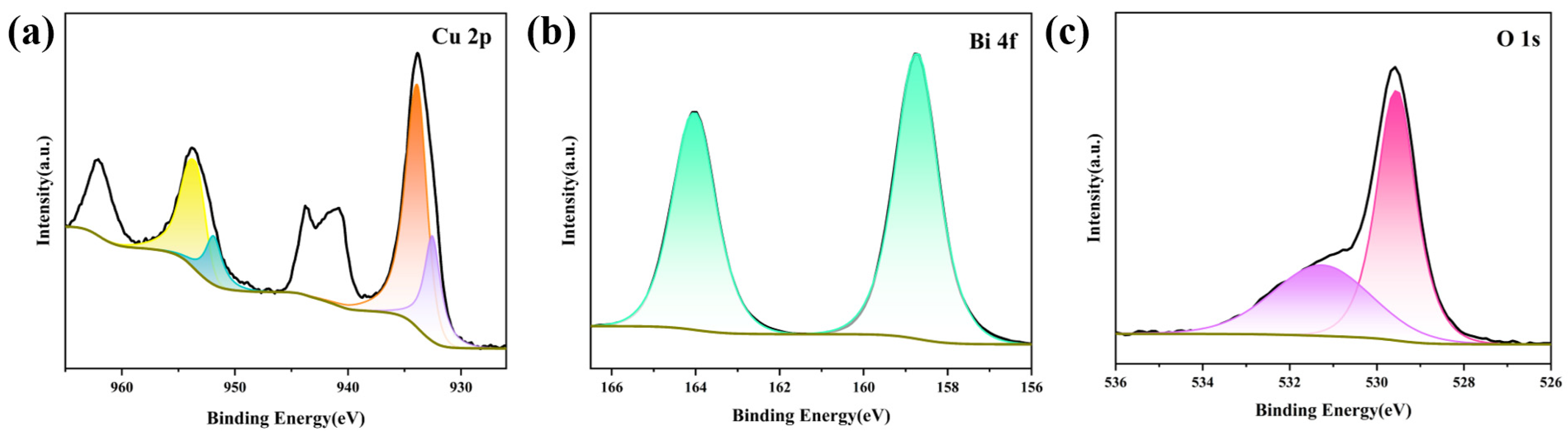 Catalysts 14 00289 g006