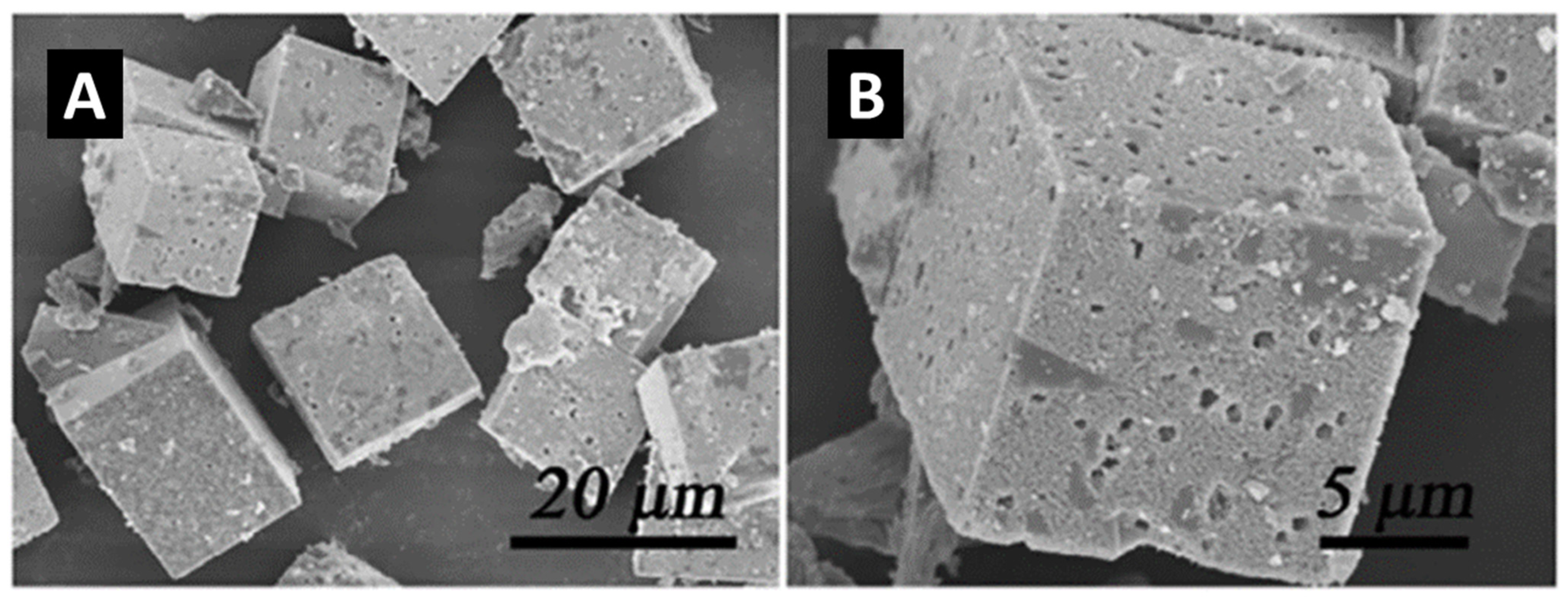 Catalysts 14 00290 g003