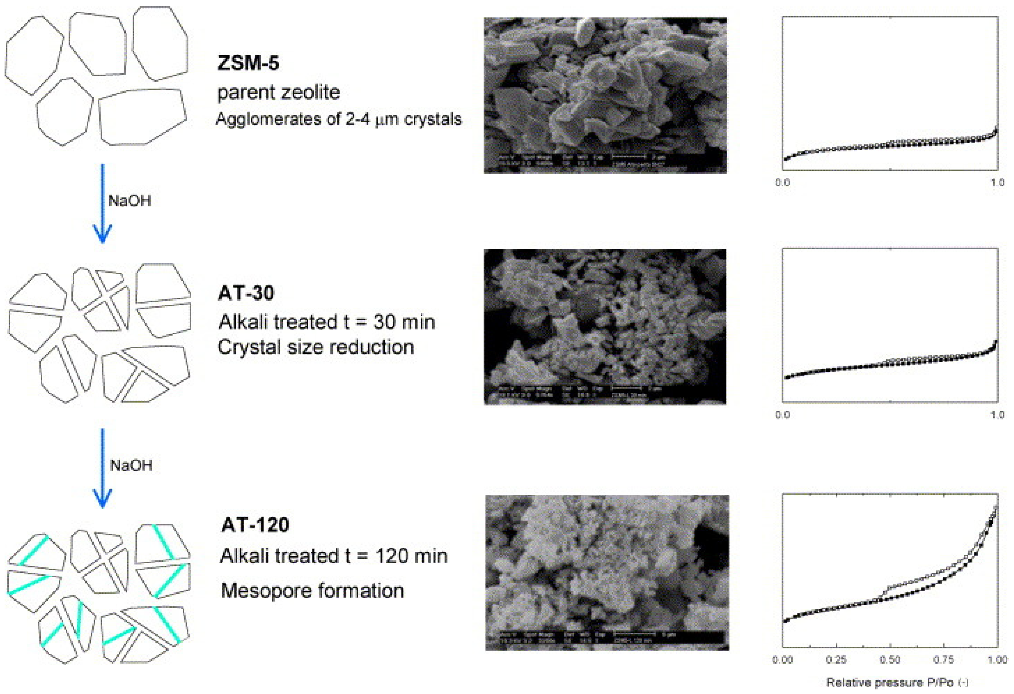 Catalysts 14 00290 g012