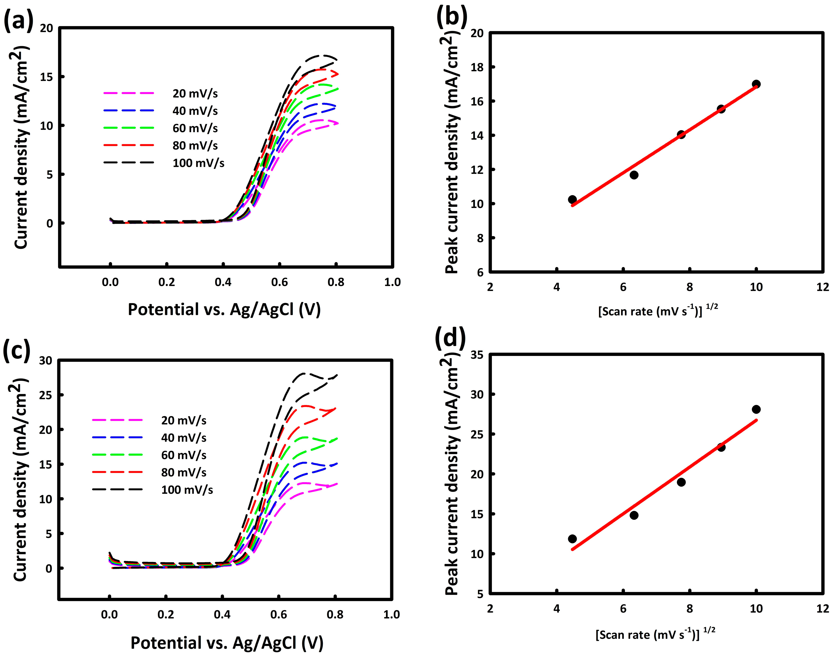 Catalysts 14 00302 g006
