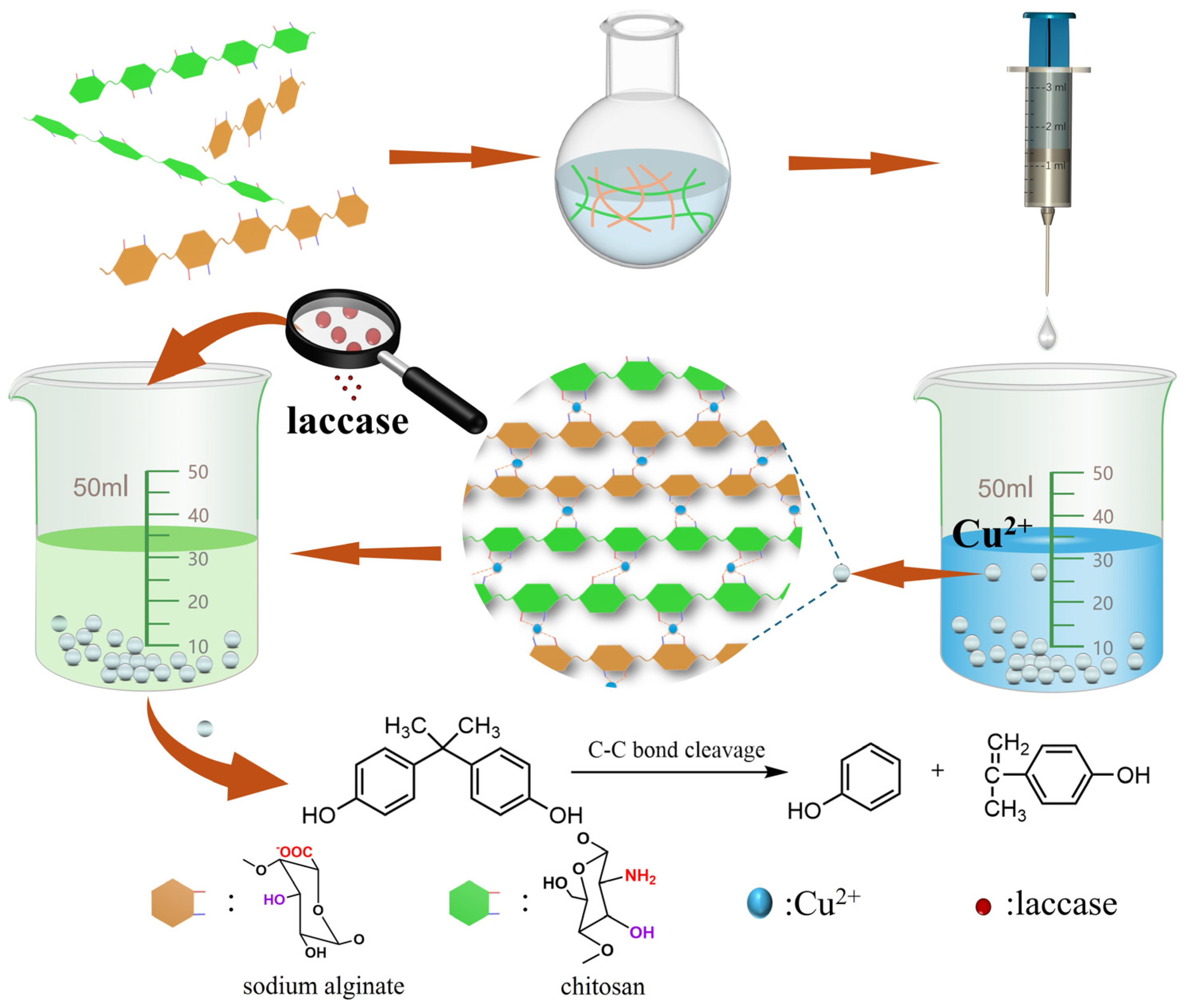 Catalysts 14 00304 g001