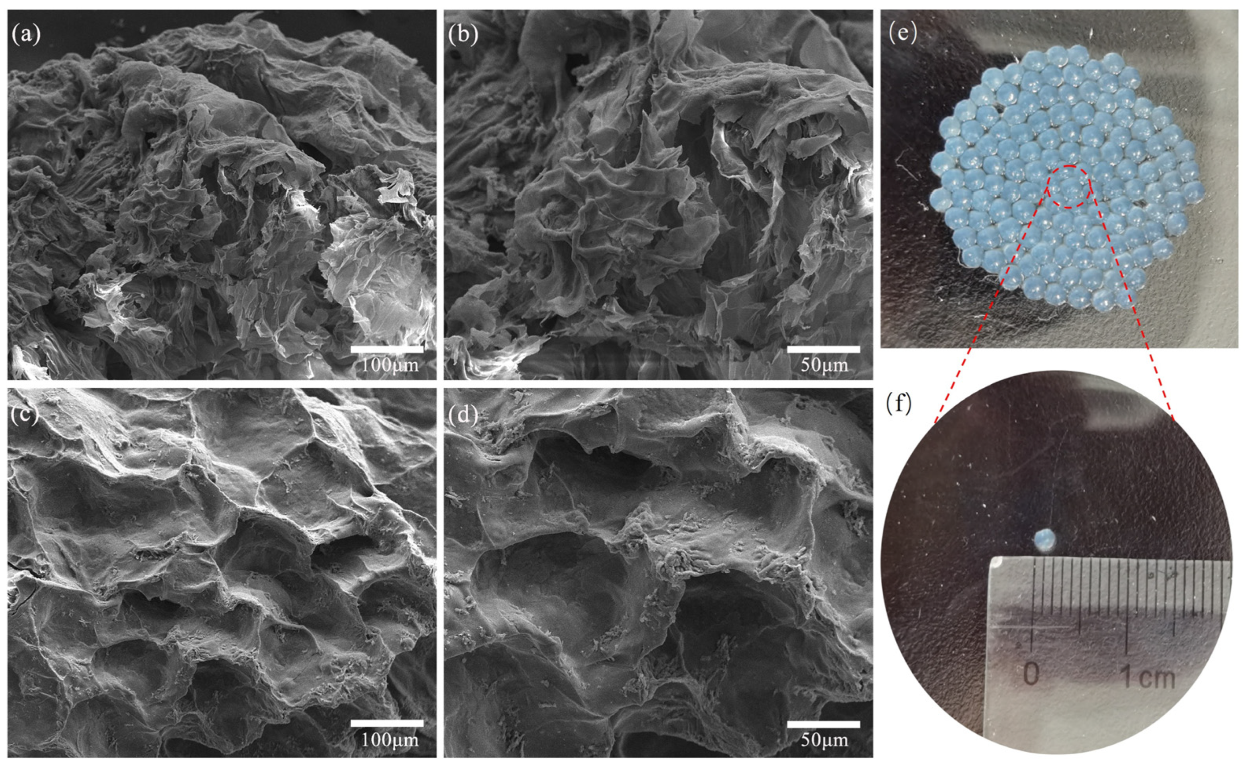 Catalysts 14 00304 g003