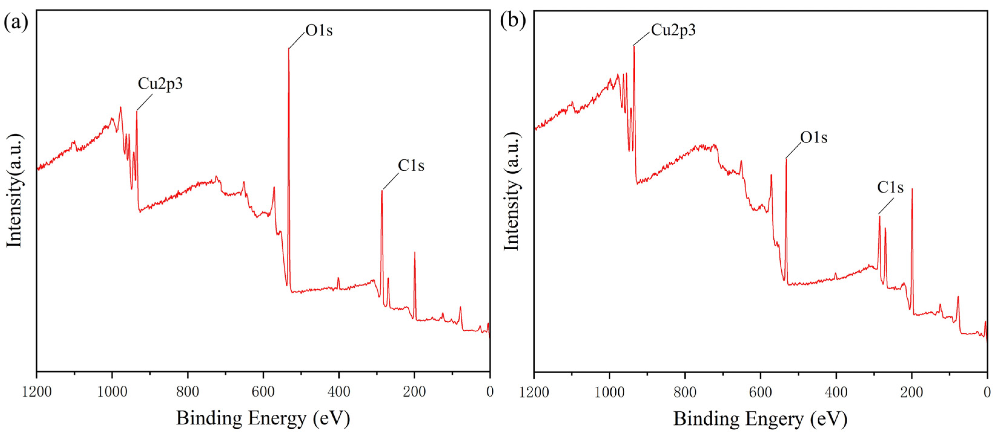 Catalysts 14 00304 g004