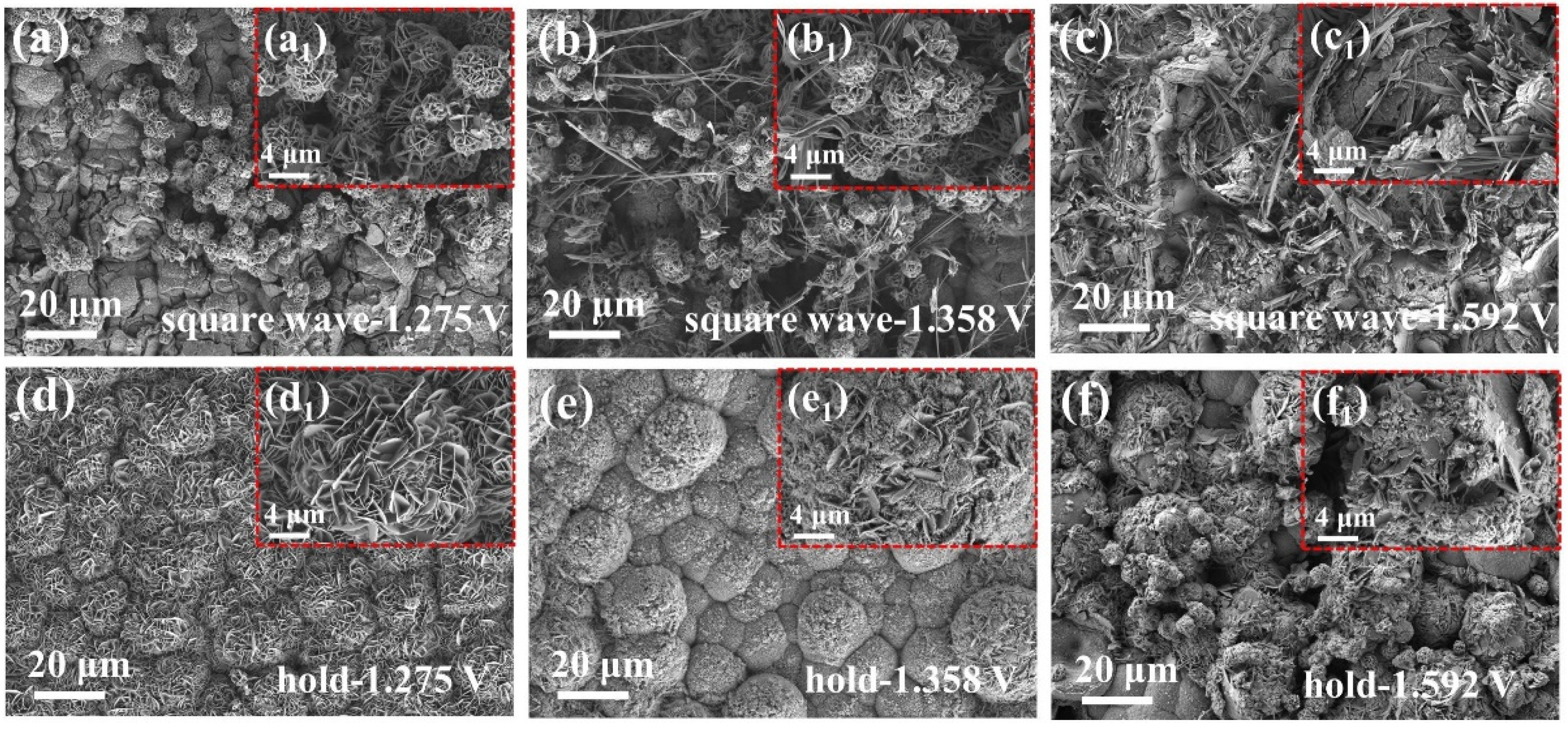 Catalysts 14 00307 g009