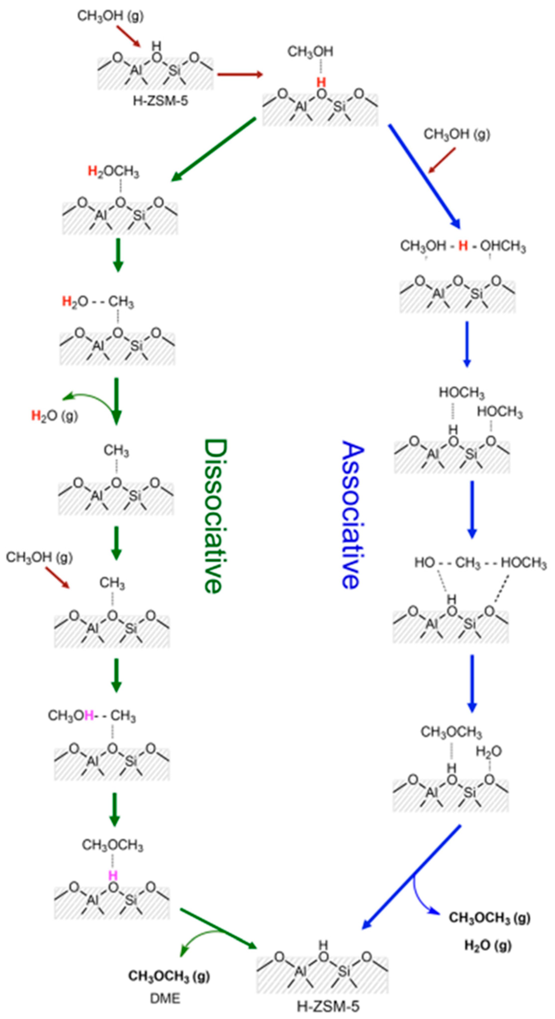 Catalysts 14 00308 sch003