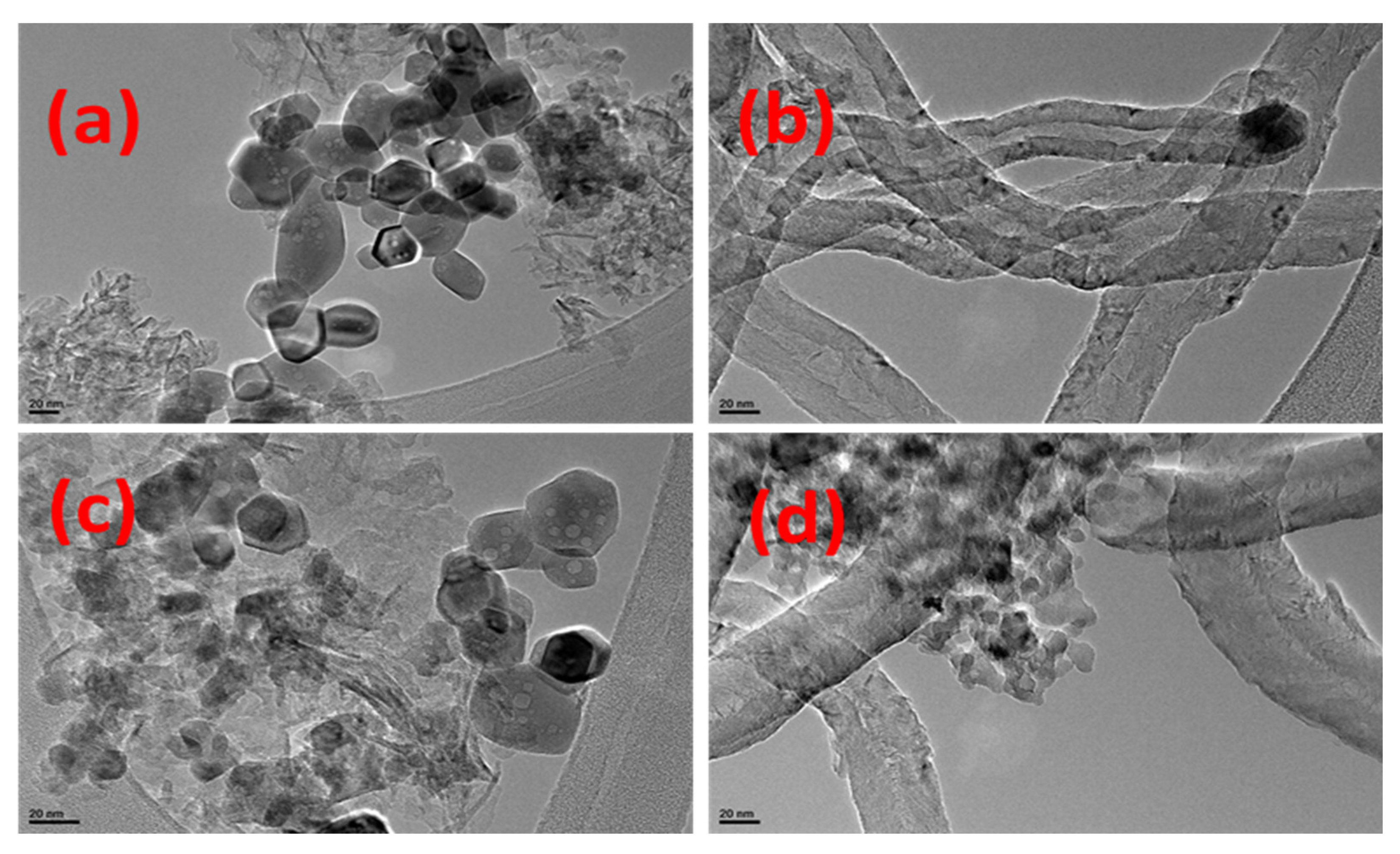 Catalysts 14 00316 g005
