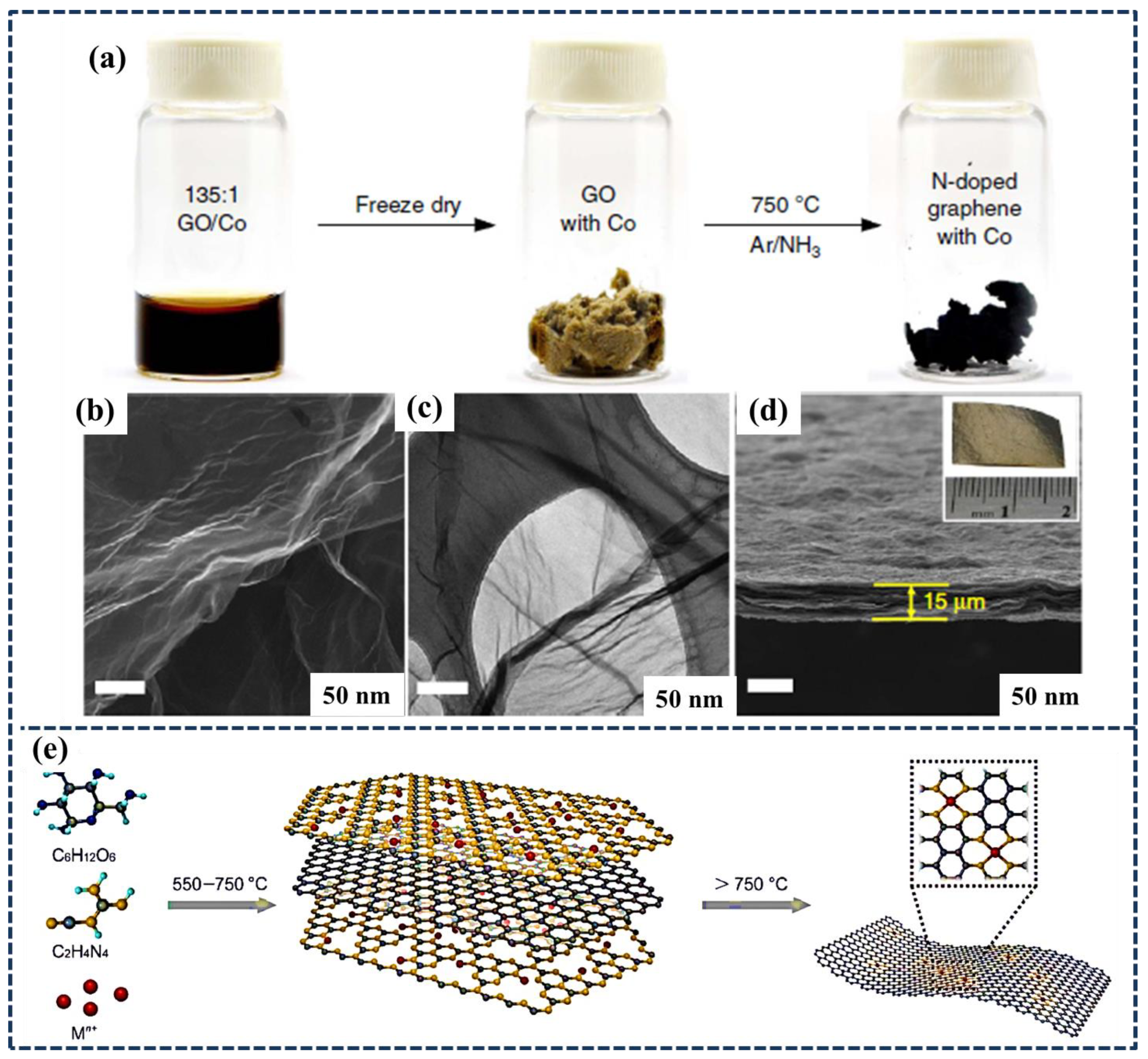 Catalysts 14 00343 g001