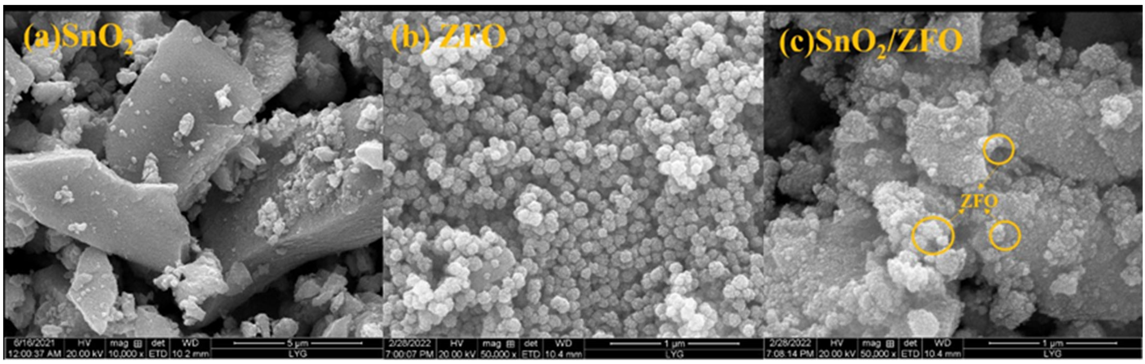 Catalysts 14 00350 g005