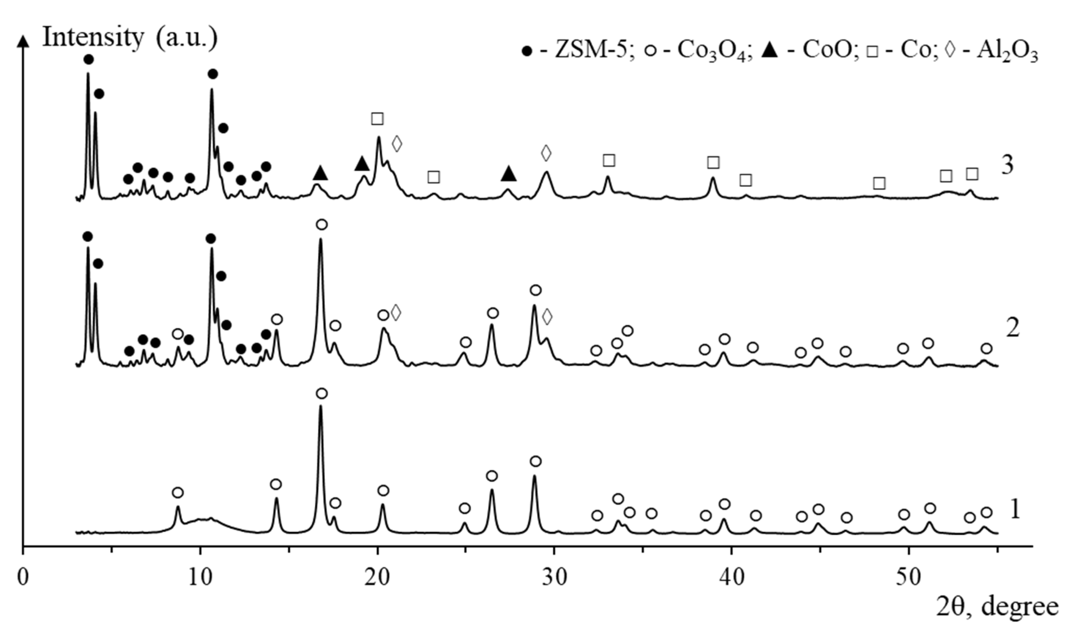 Catalysts 14 00351 g004