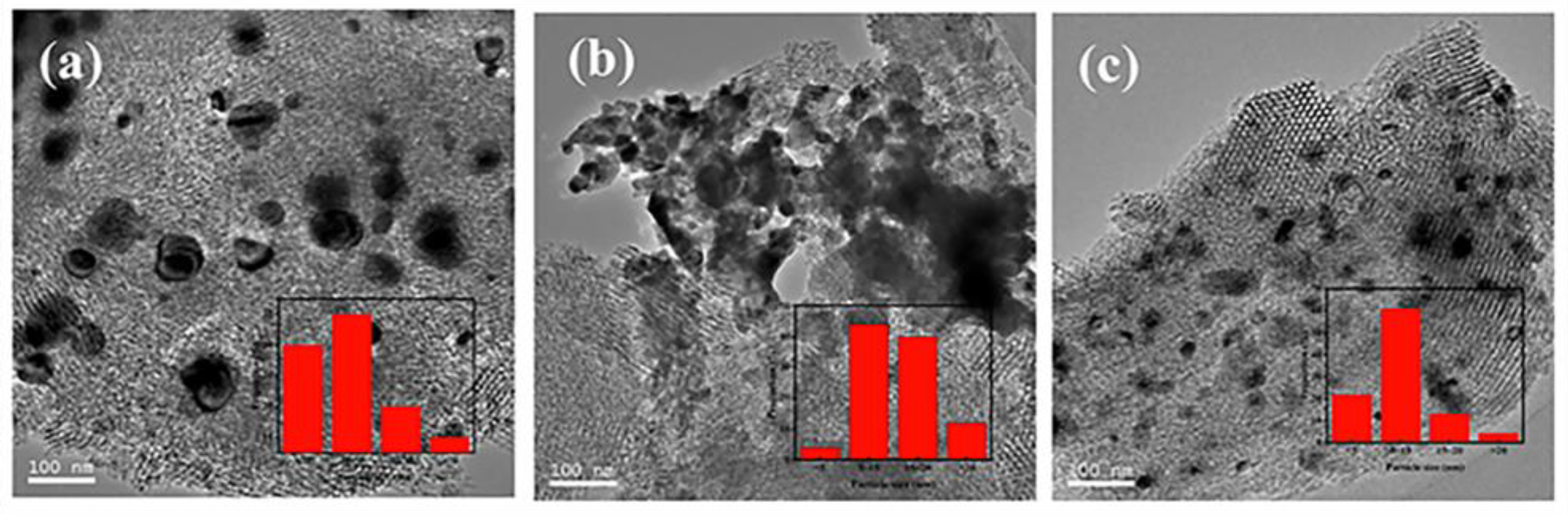 Catalysts 14 00355 g004