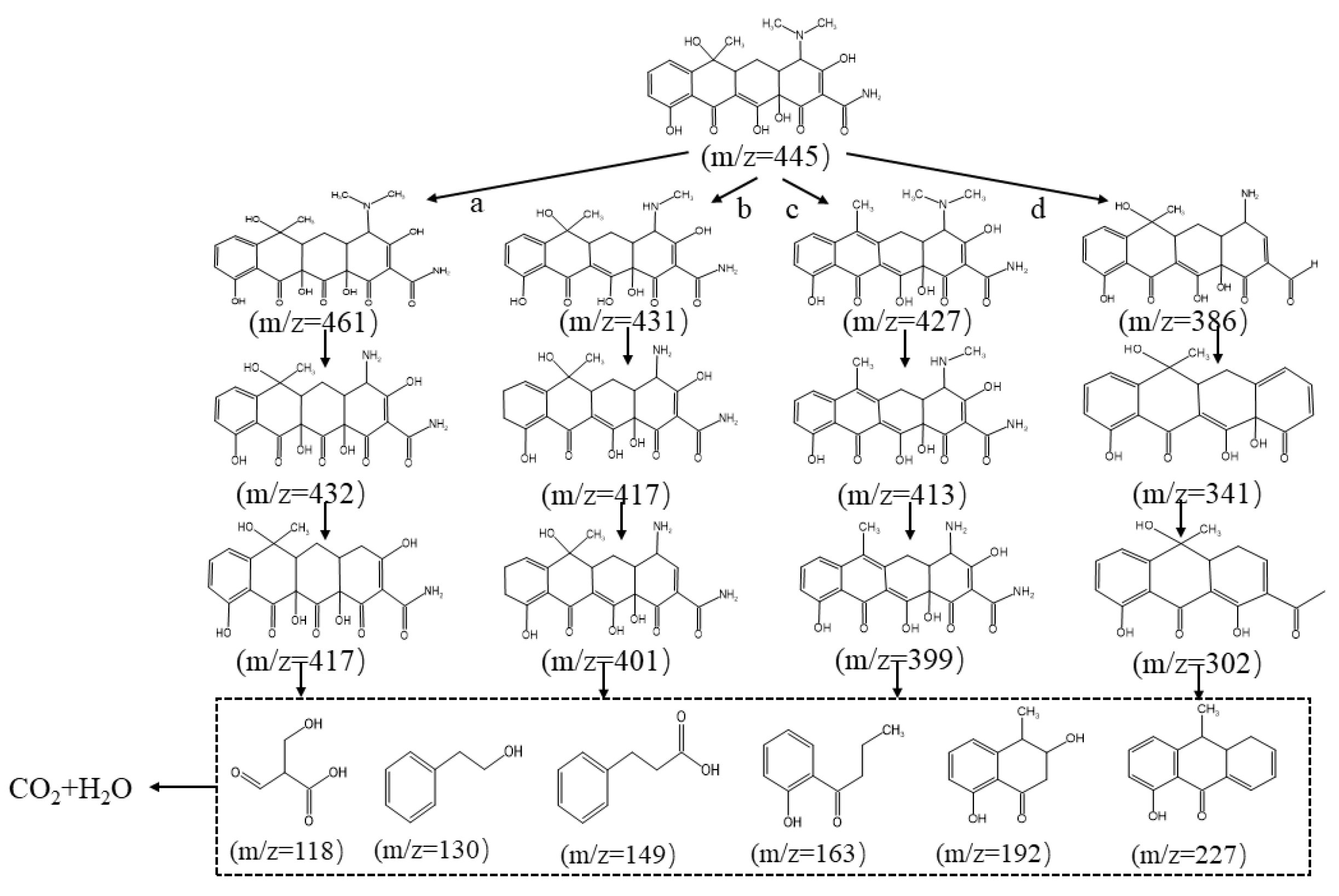 Catalysts 14 00357 g012
