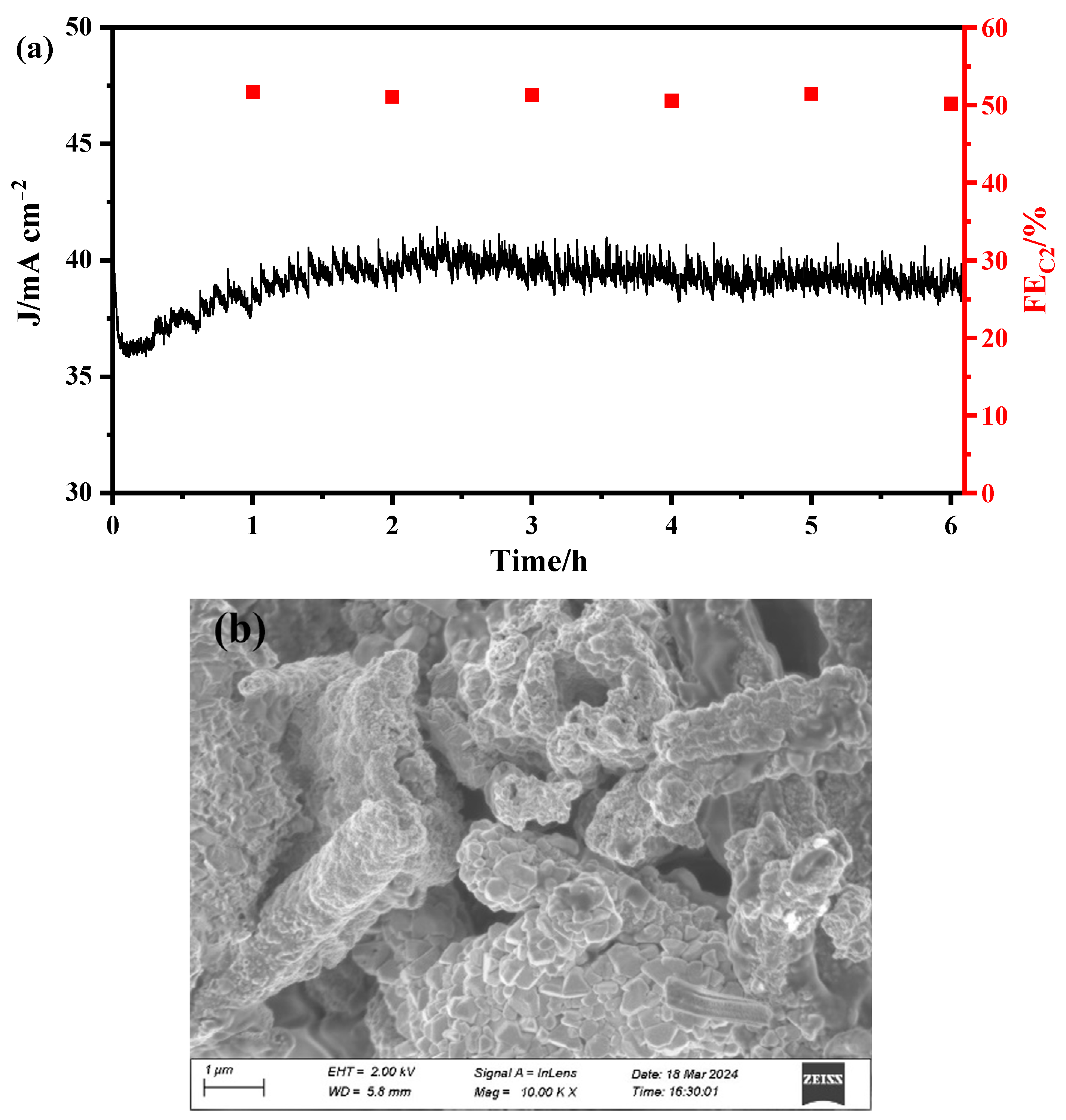 Catalysts 14 00361 g007