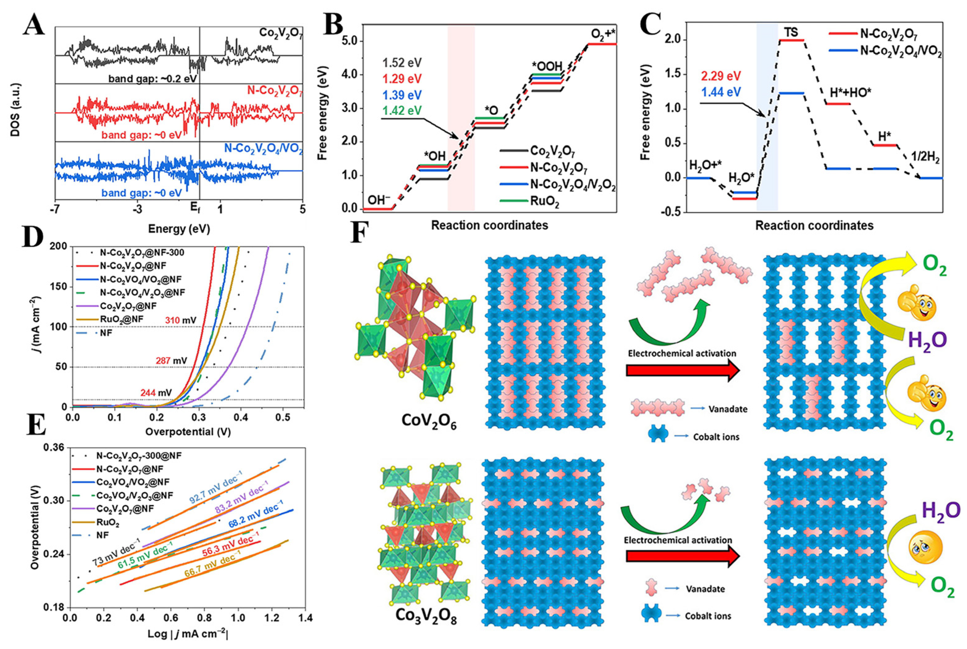 Catalysts 14 00368 g006