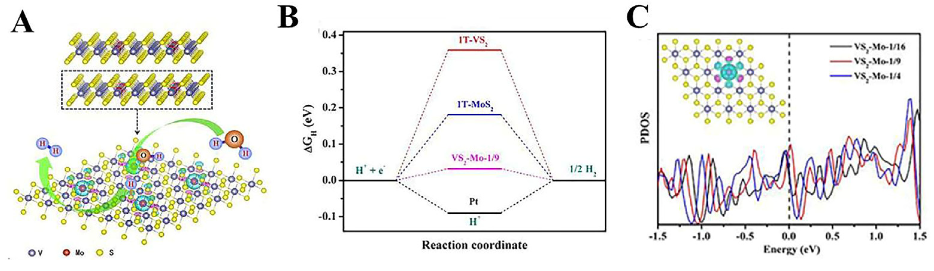 Catalysts 14 00368 g007