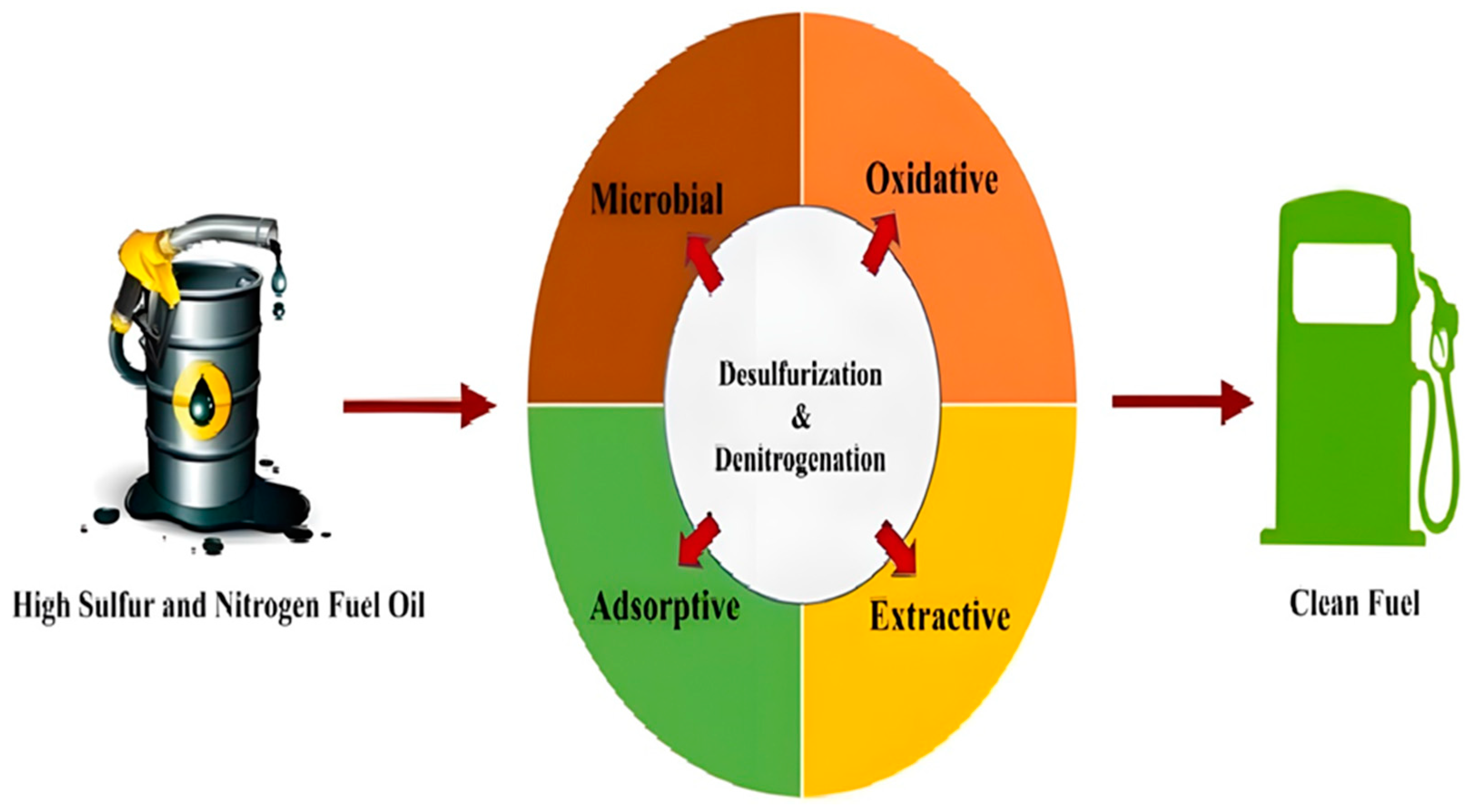 Catalysts 14 00381 g009